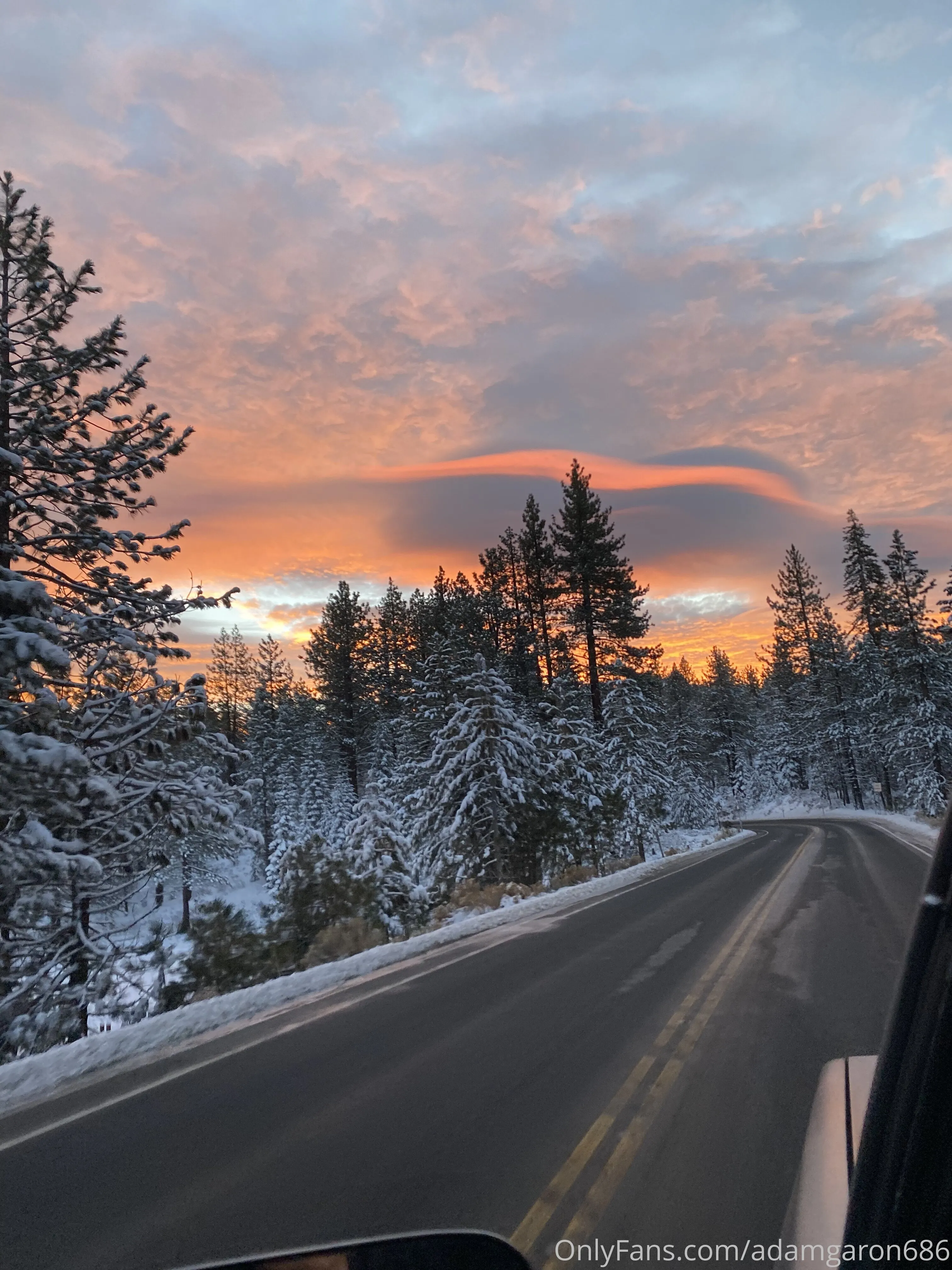 Adam Garon OnlyFans premium content 16 - adamgaron686 exclusive collection