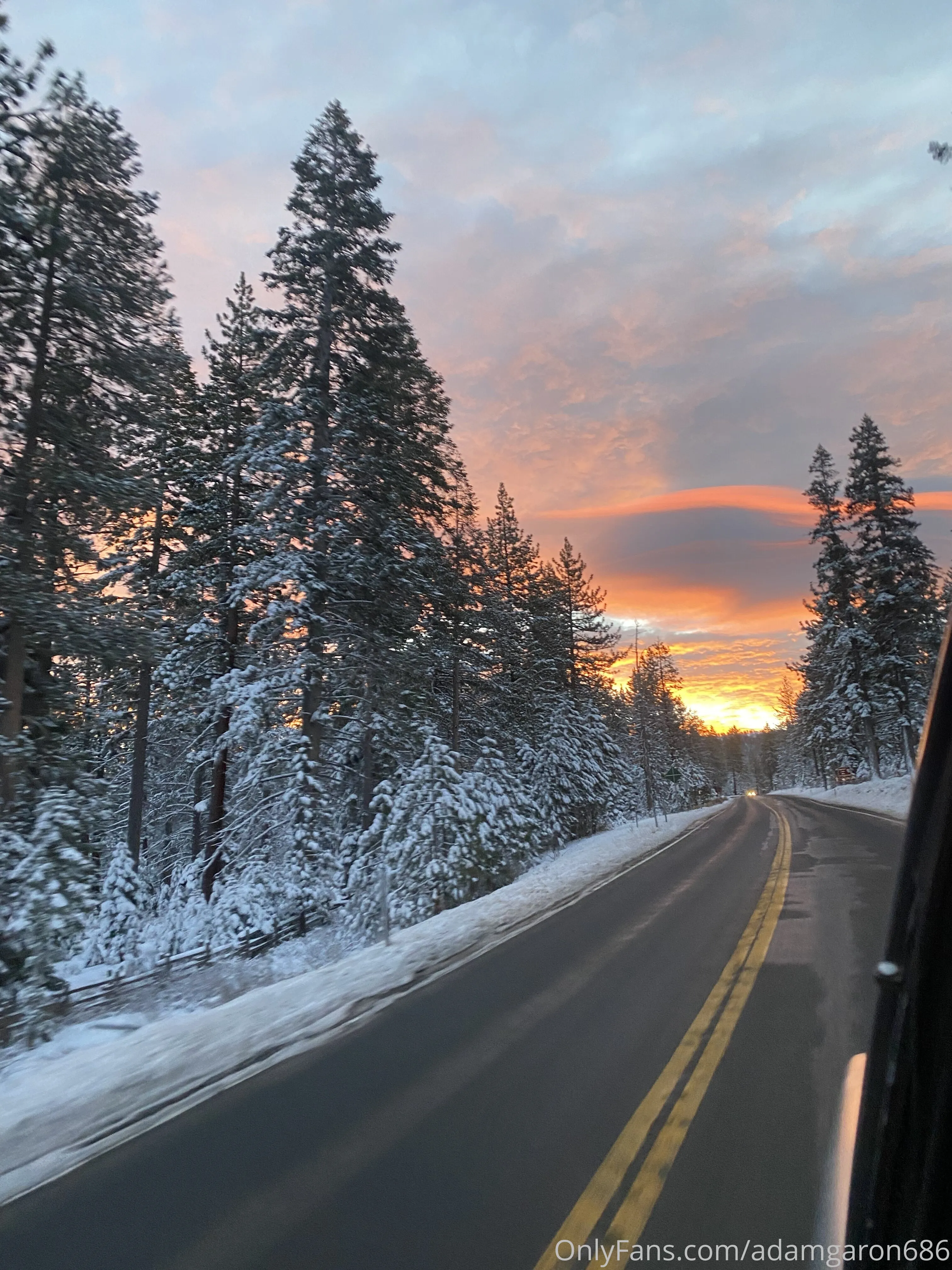 Adam Garon OnlyFans premium content 17 - adamgaron686 exclusive collection