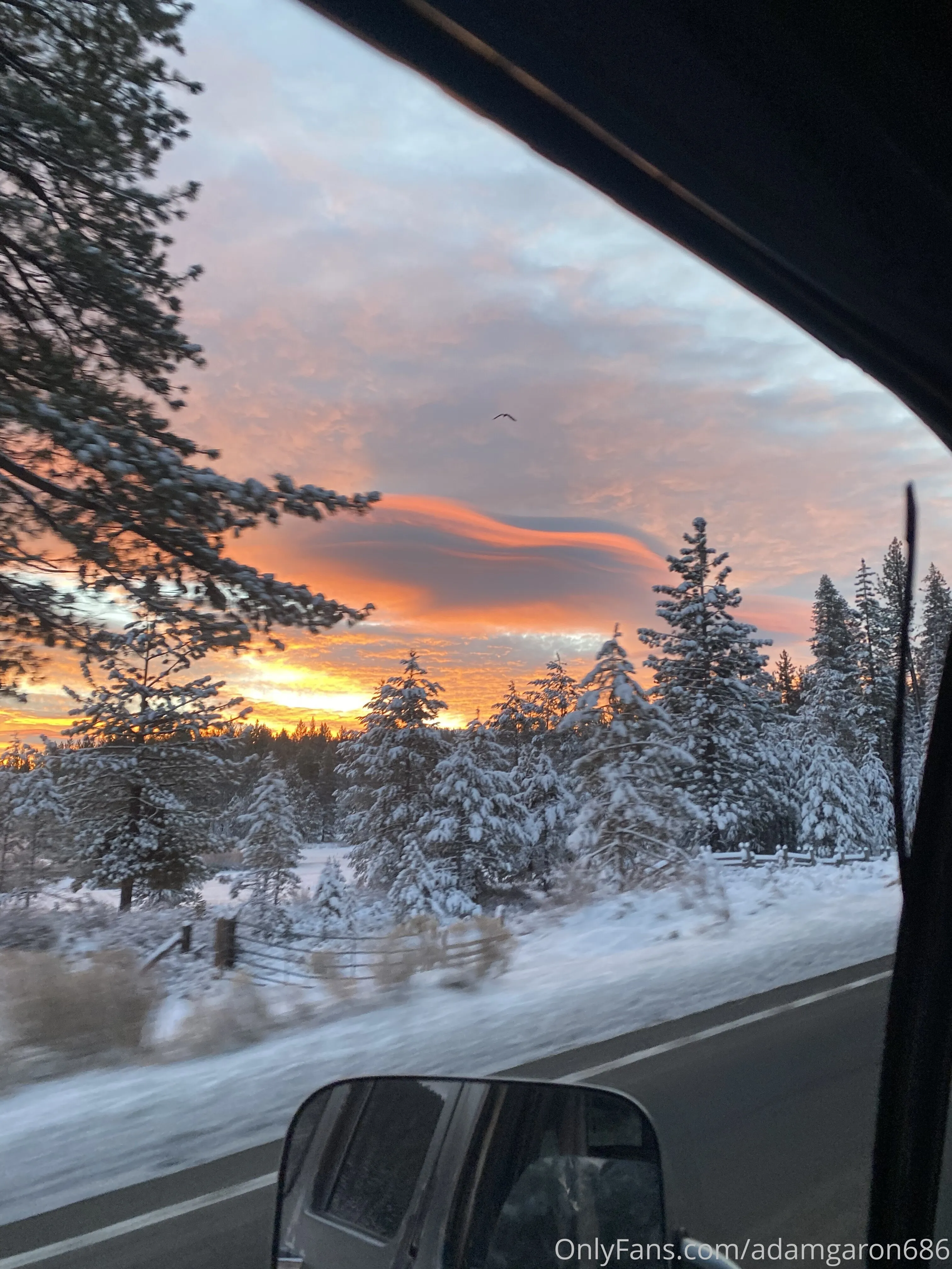 Adam Garon OnlyFans premium content 18 - adamgaron686 exclusive collection