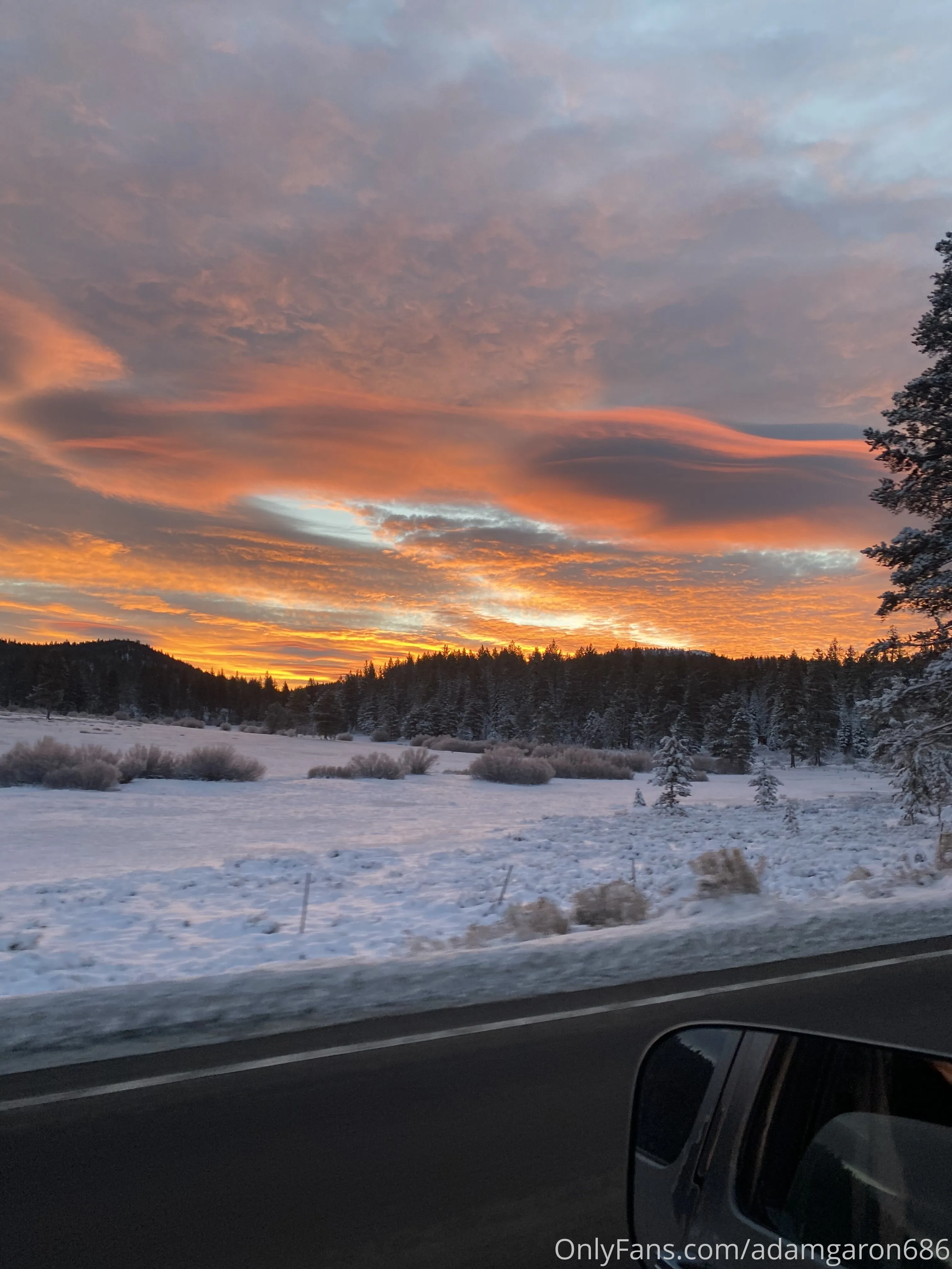 Adam Garon OnlyFans premium content 19 - adamgaron686 exclusive collection