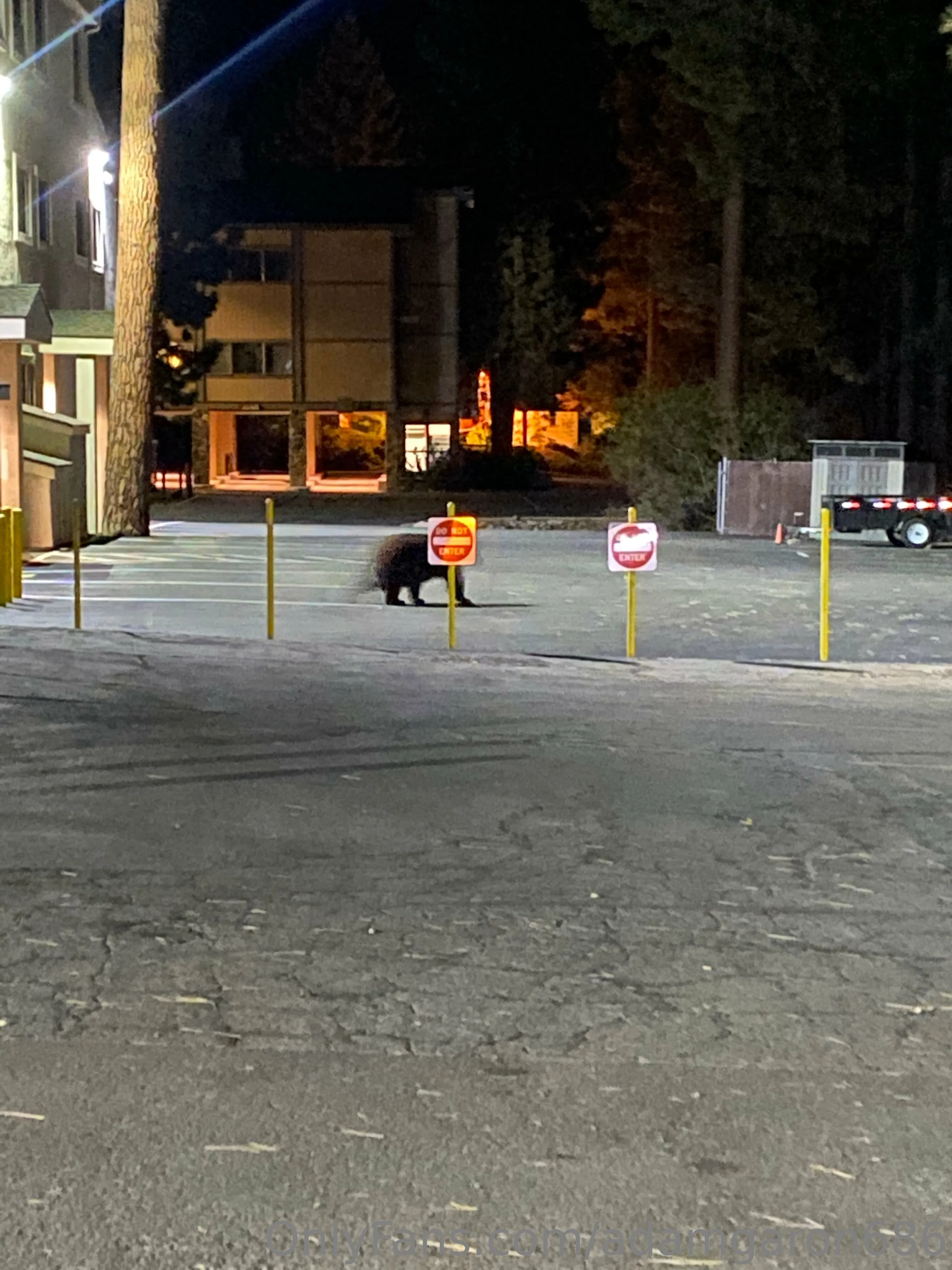 Adam Garon OnlyFans premium content 12 - adamgaron686 exclusive collection