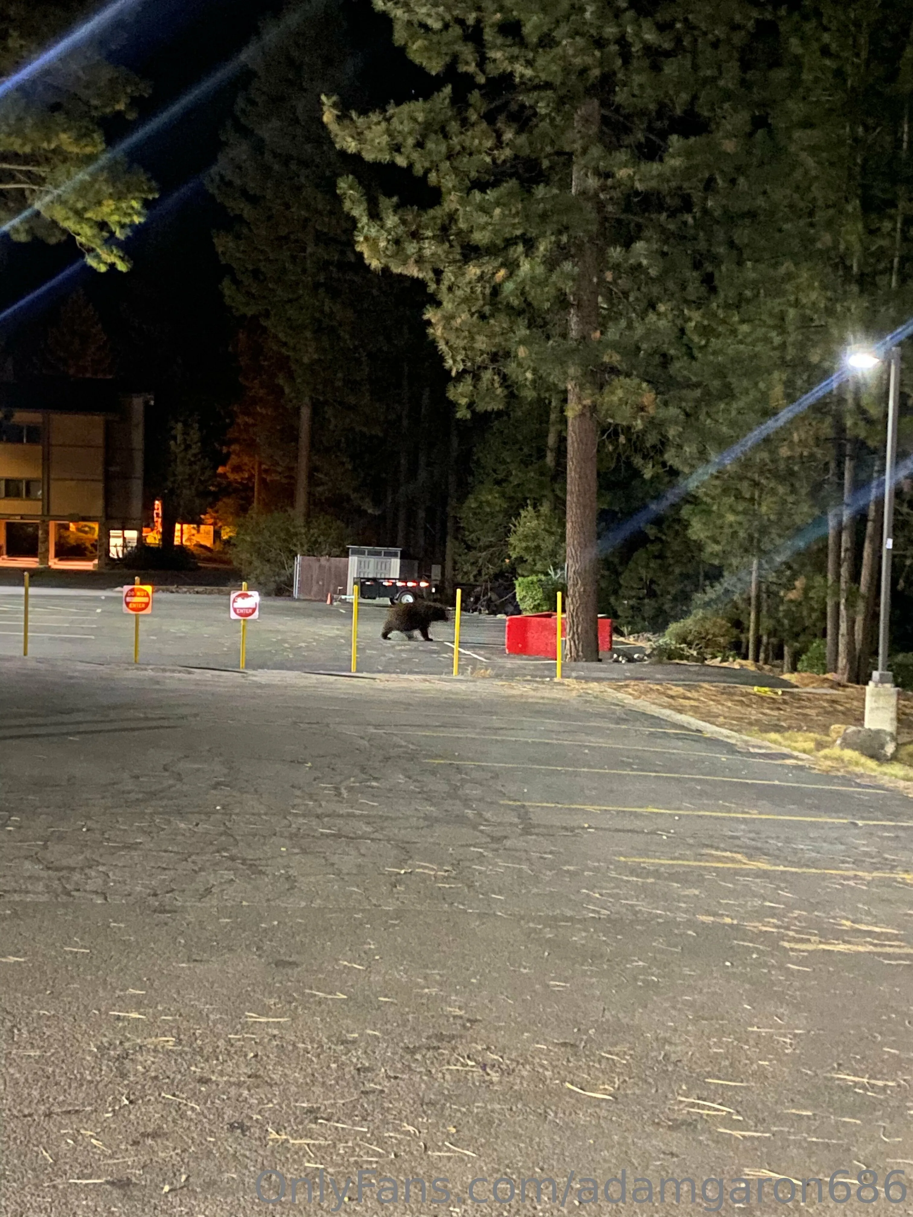 Adam Garon OnlyFans premium content 13 - adamgaron686 exclusive collection