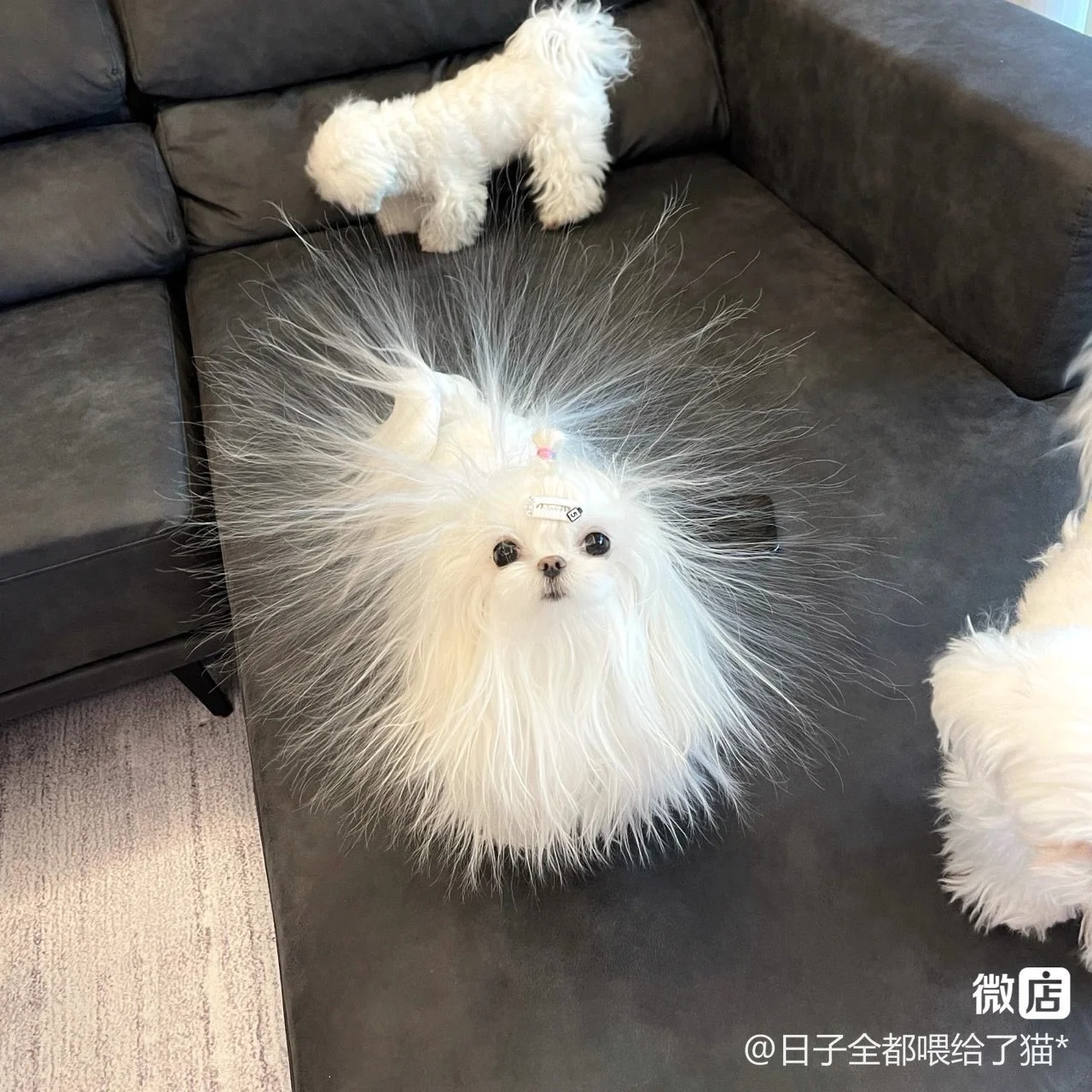 🍃Bunny🍃 OnlyFans premium content 1 - burntoutbunny exclusive collection