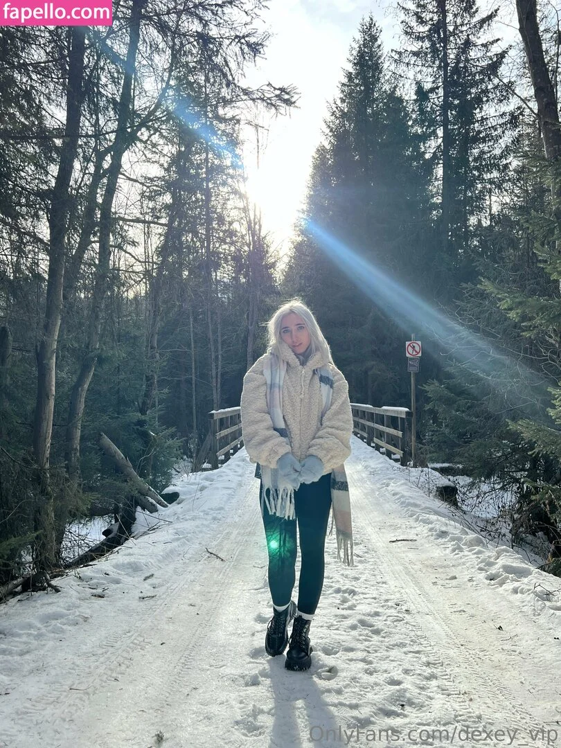 Dexey_VIP OnlyFans premium content 10 - dexey_vip exclusive collection