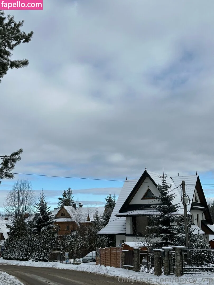 Dexey_VIP OnlyFans premium content 11 - dexey_vip exclusive collection