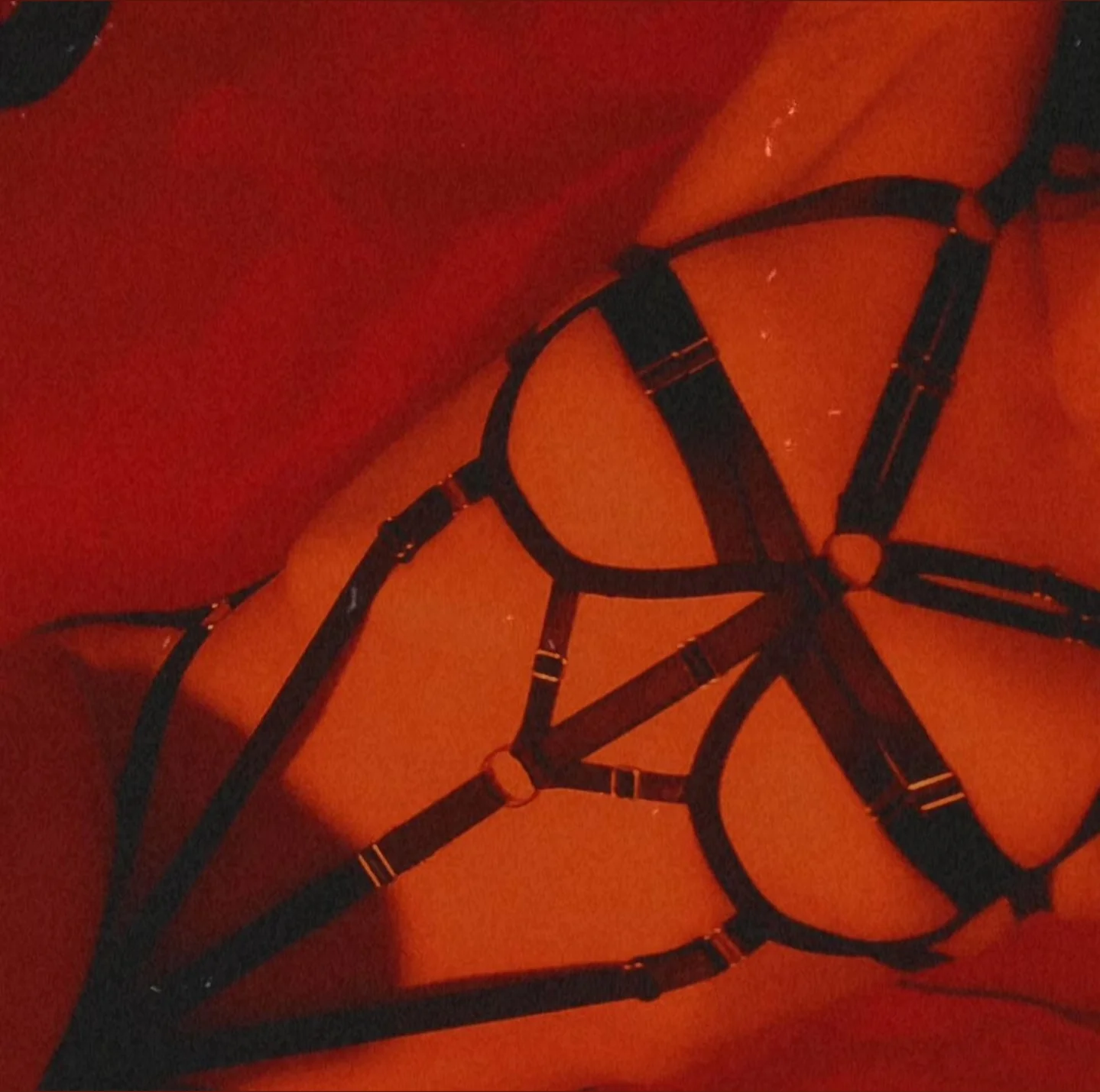 Playboy420bunny OnlyFans premium content 2 - playboy420bunny exclusive collection