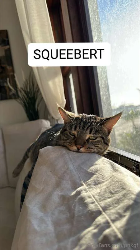 Genna James OnlyFans premium content 6 - pnkgf exclusive collection