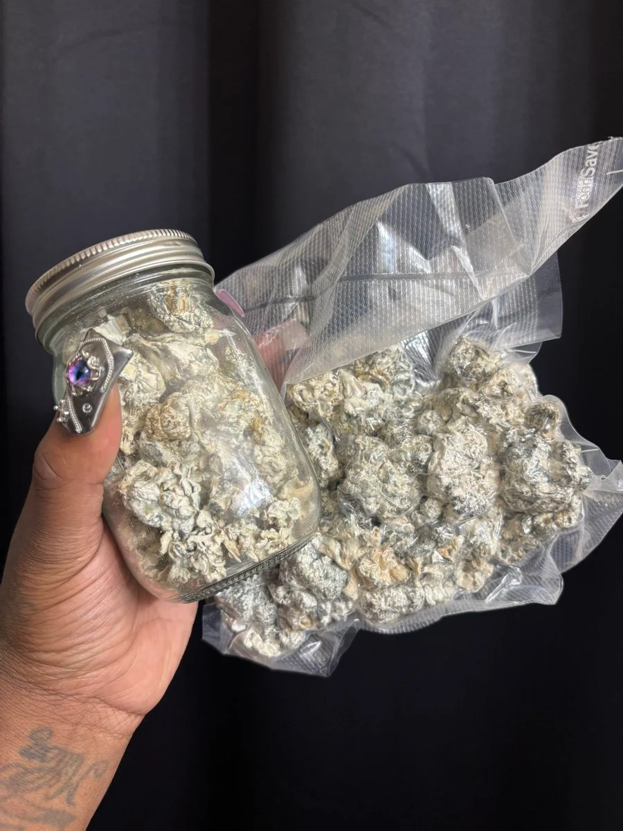 The Real Dick Bully OnlyFans premium content 3 - starr2livee exclusive collection