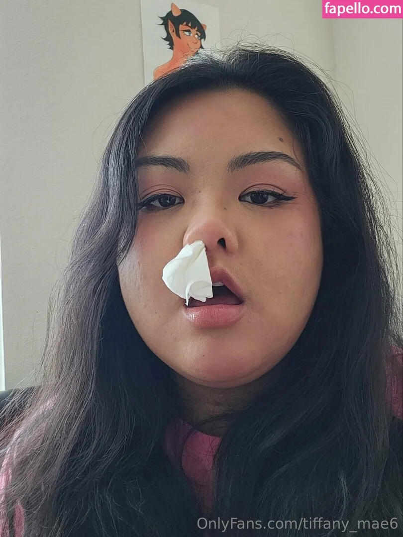 tiffy 💕 OnlyFans premium content 18 - tiffany_mae6 exclusive collection