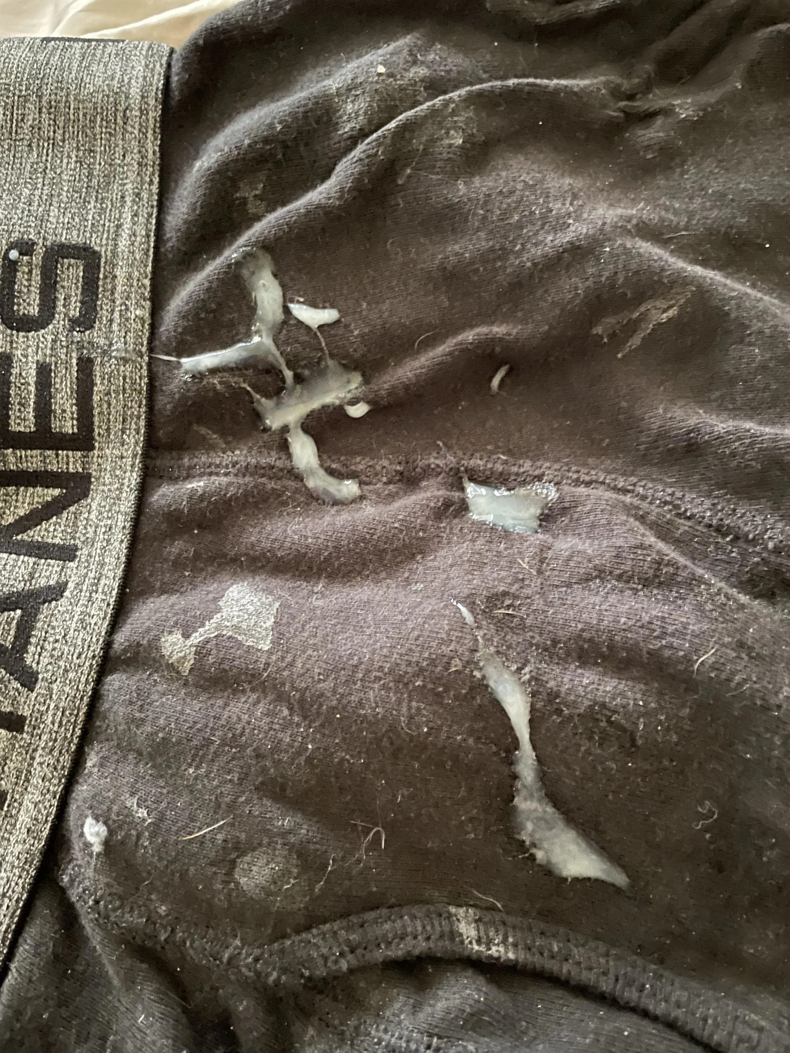 Victor Lin OnlyFans premium content 1 - victorlinvideos exclusive collection