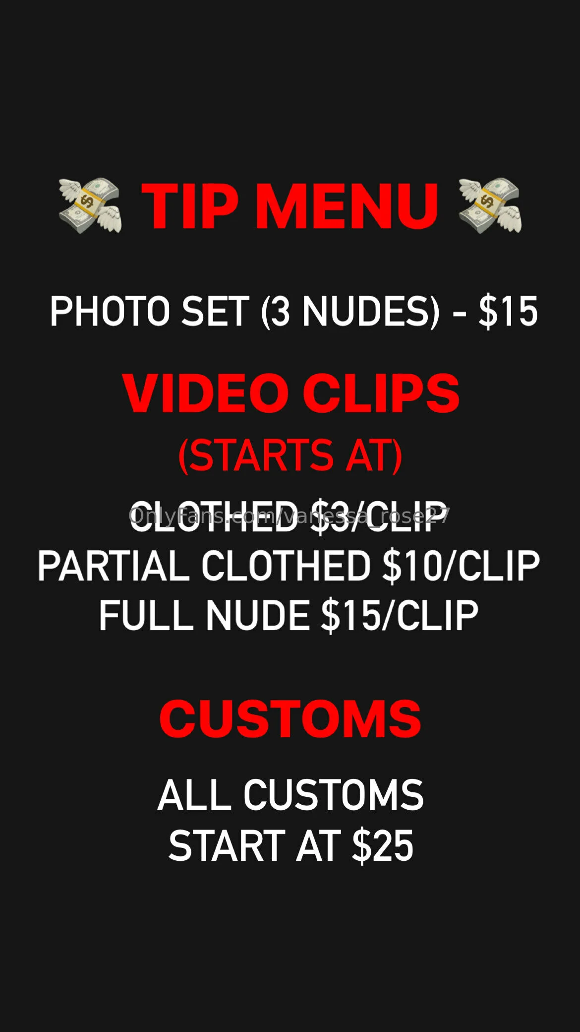 vanessa 🩷👑🍑 OnlyFans premium content 20 - vanessa_rose27 exclusive collection