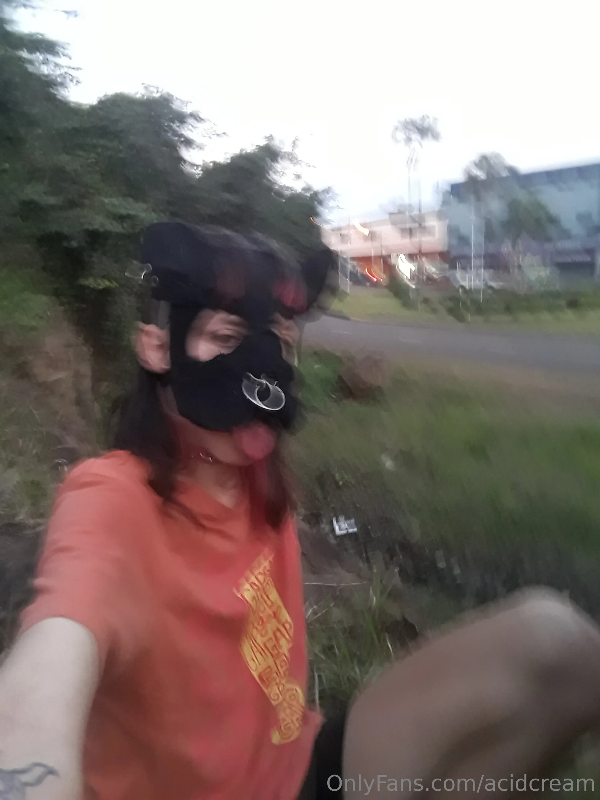 Toyverde🐶 OnlyFans premium content 4 - acidcream exclusive collection