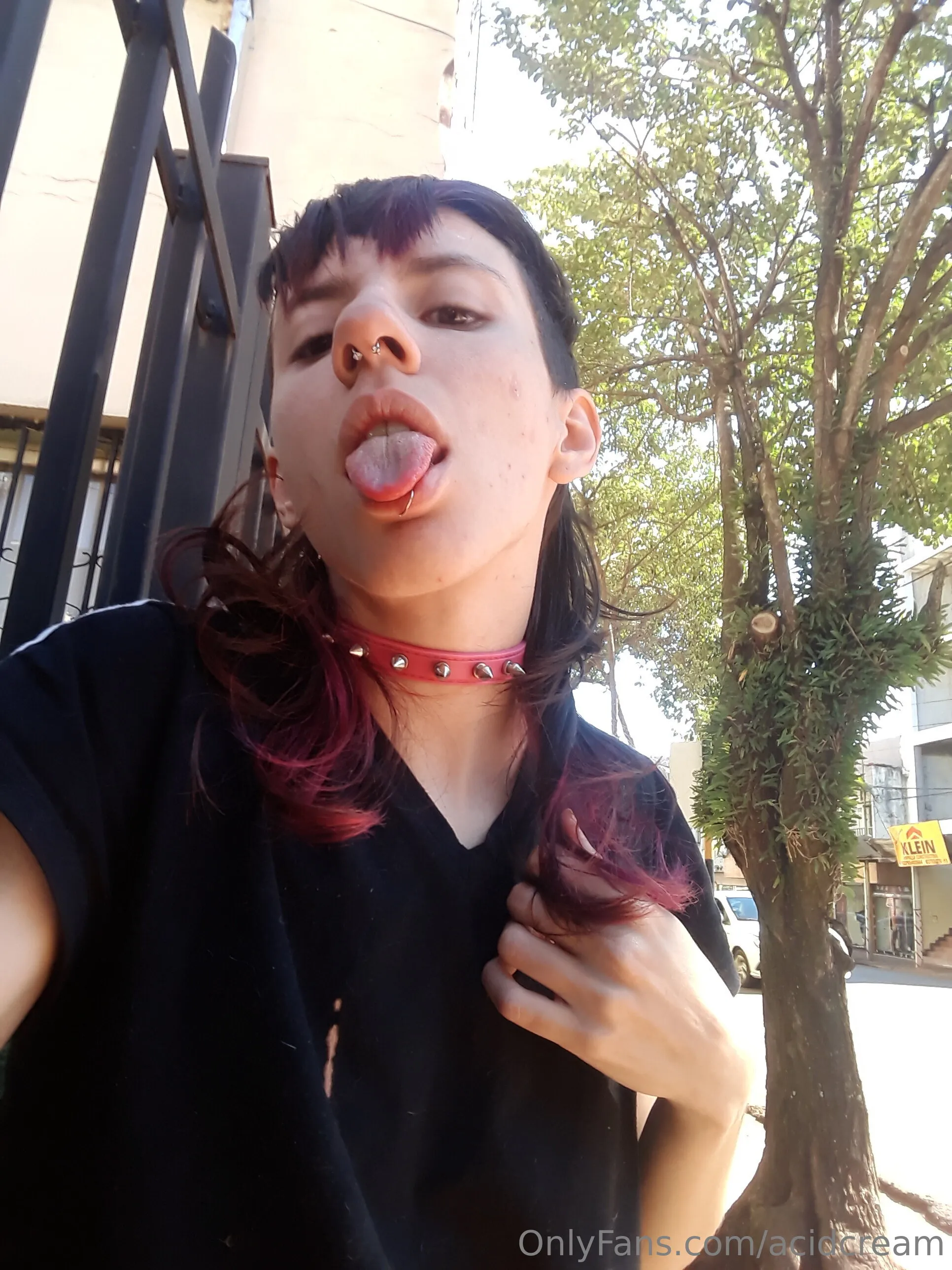 Toyverde🐶 OnlyFans premium content 3 - acidcream exclusive collection