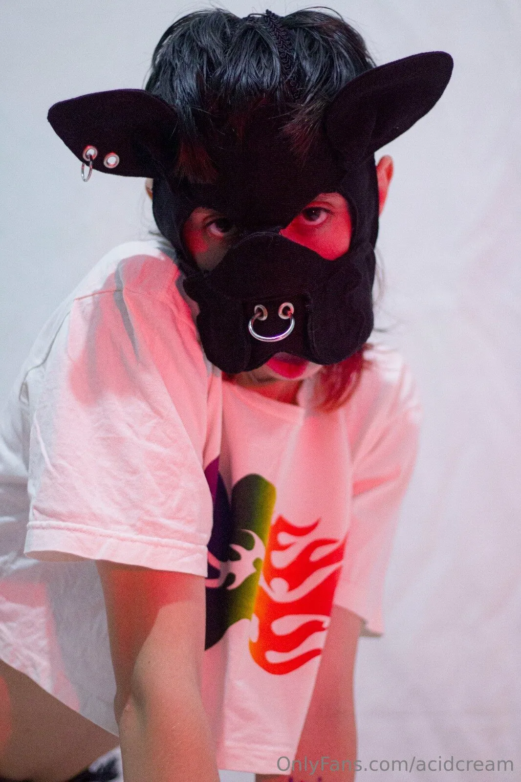 Toyverde🐶 OnlyFans premium content 11 - acidcream exclusive collection