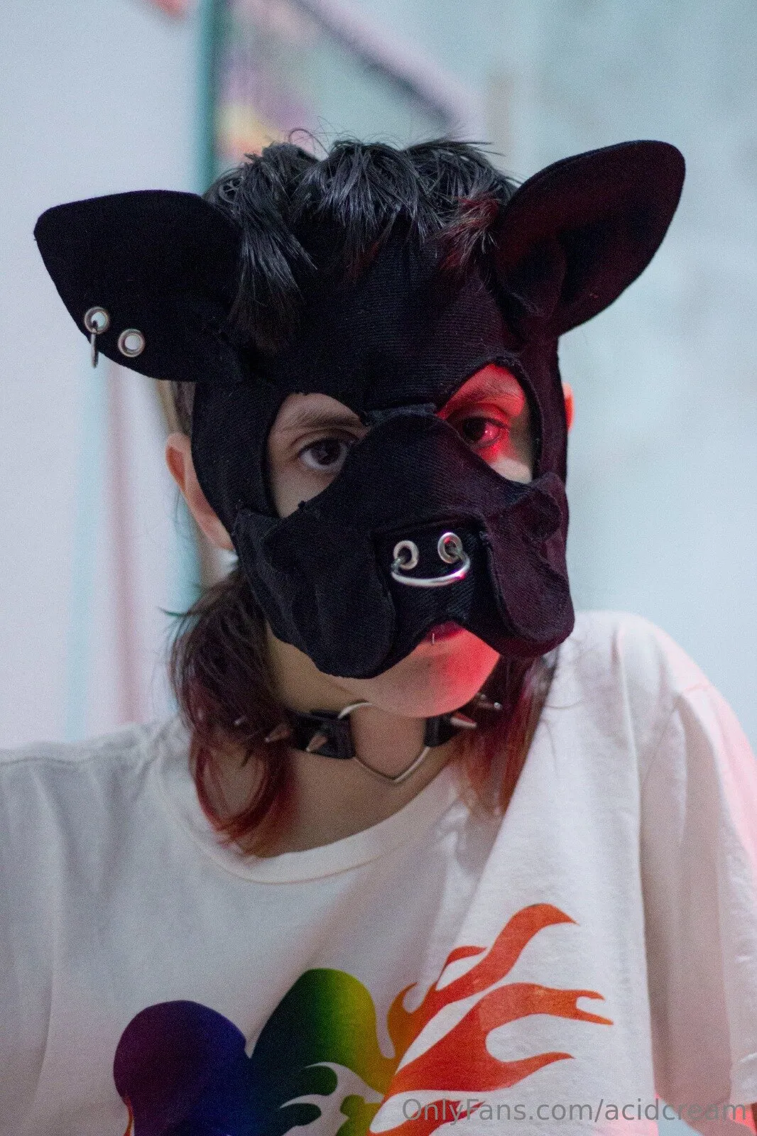 Toyverde🐶 OnlyFans premium content 9 - acidcream exclusive collection