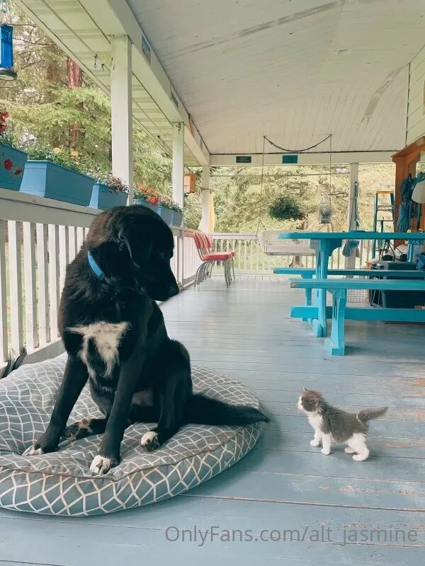 Jasmine OnlyFans premium content 1 - alt_jasmine exclusive collection