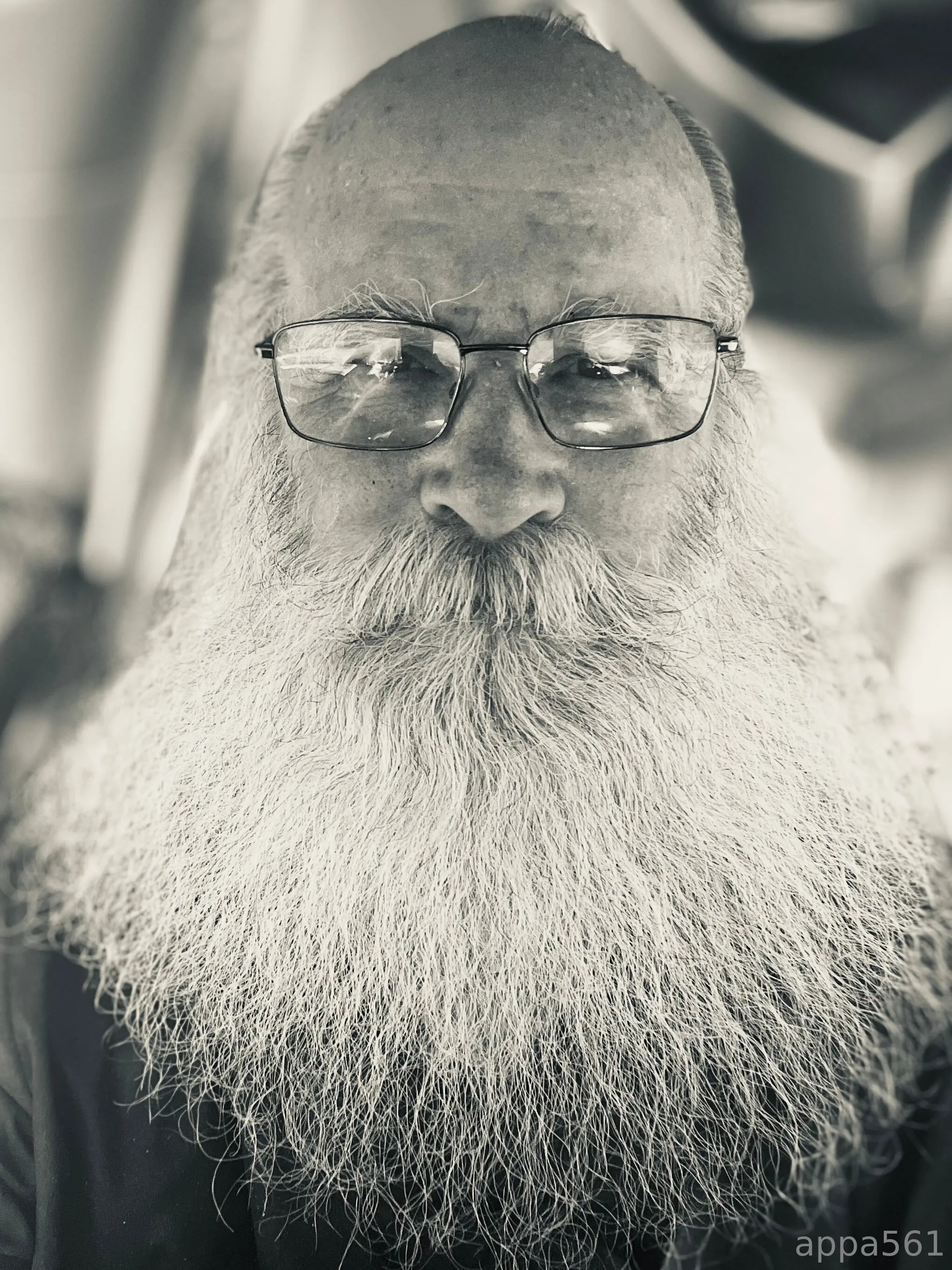 appa561 OnlyFans premium content 3 - appa561 exclusive collection