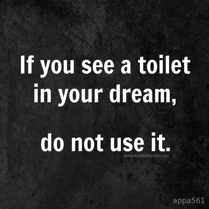 appa561 OnlyFans premium content 2 - appa561 exclusive collection