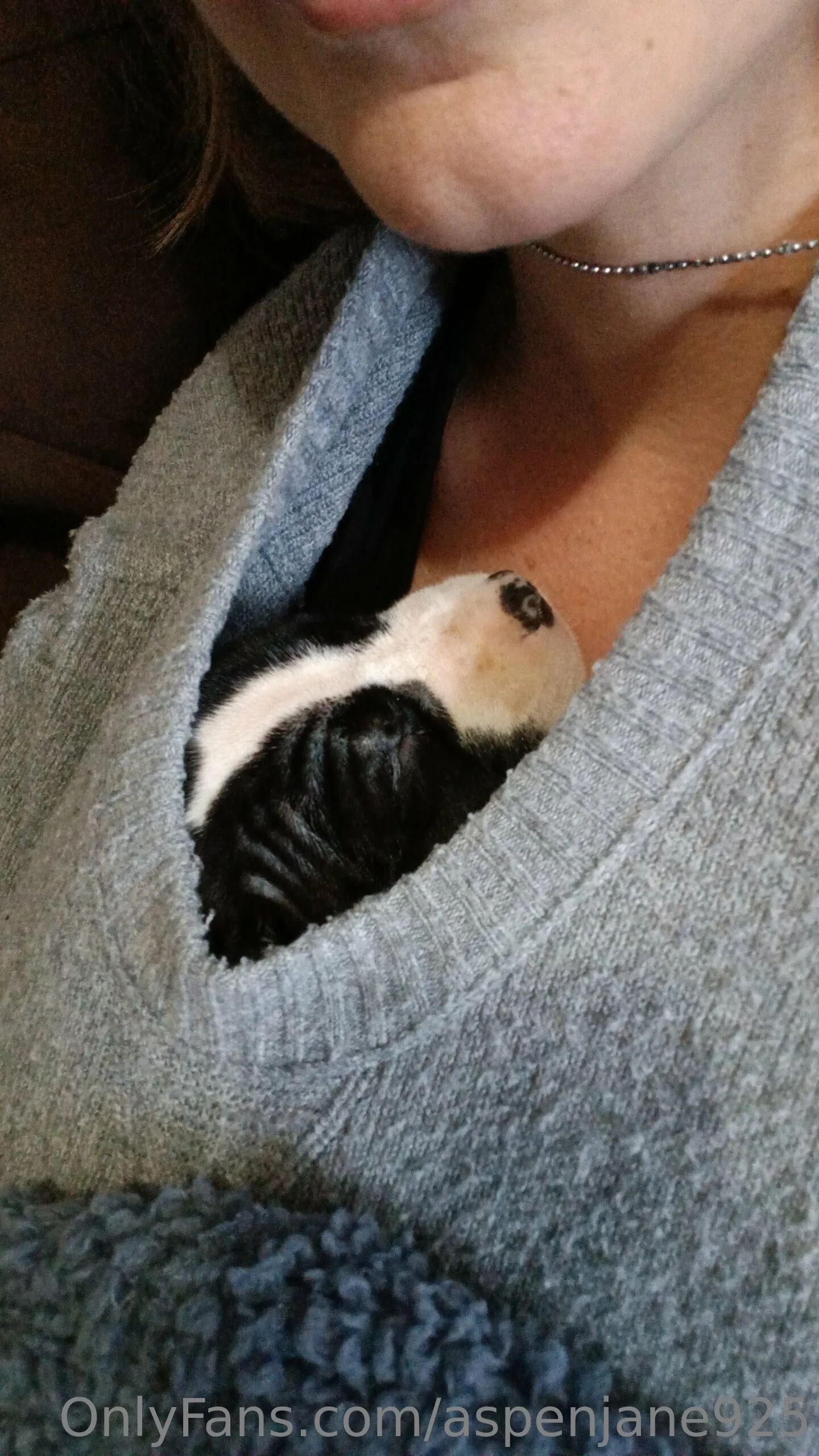 AspenJane OnlyFans premium content 45 - aspenjane925 exclusive collection
