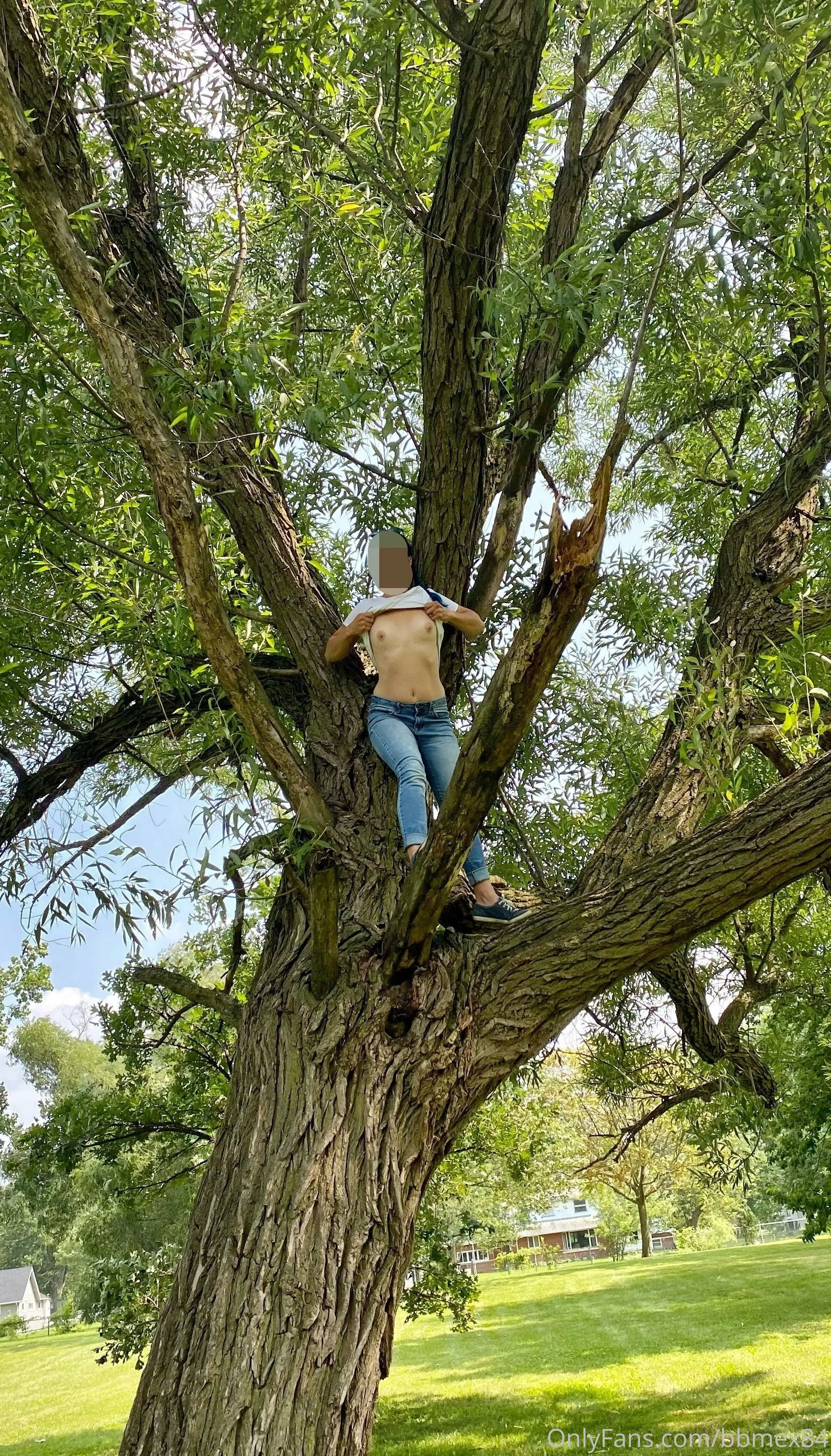 BlueBabe OnlyFans premium content 1 - bbmex84 exclusive collection