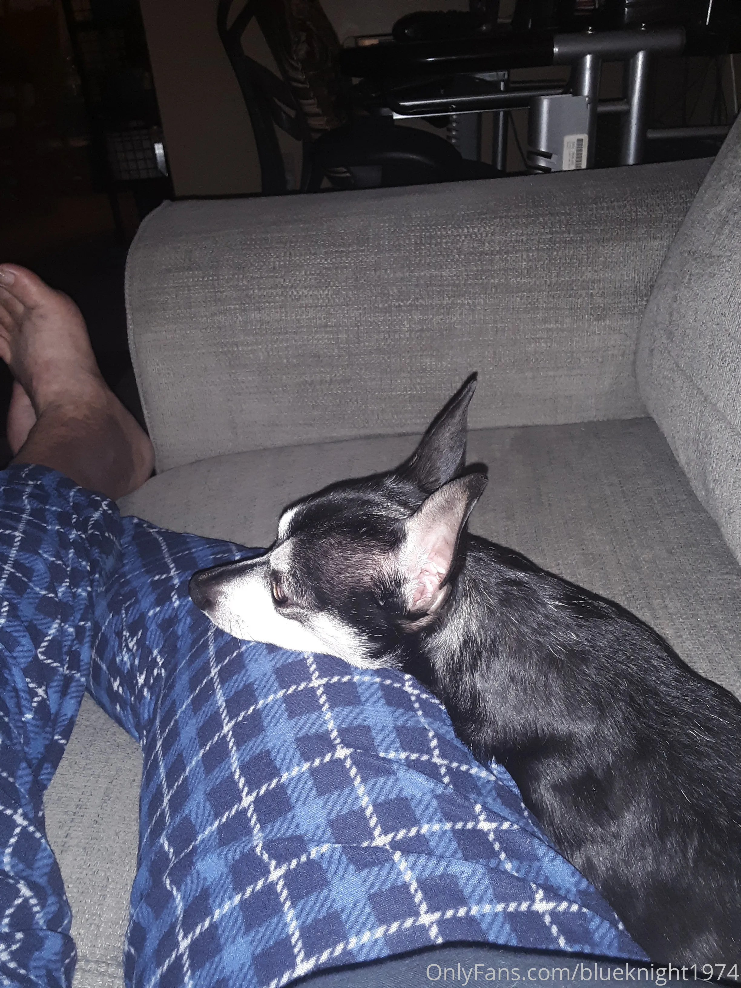 Beau H OnlyFans premium content 10 - beau_h exclusive collection