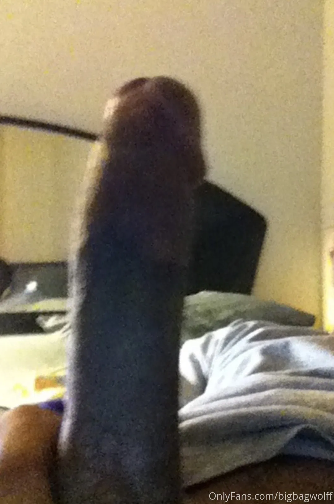 ThottiePippen OnlyFans premium content 1 - bigbagwolff exclusive collection