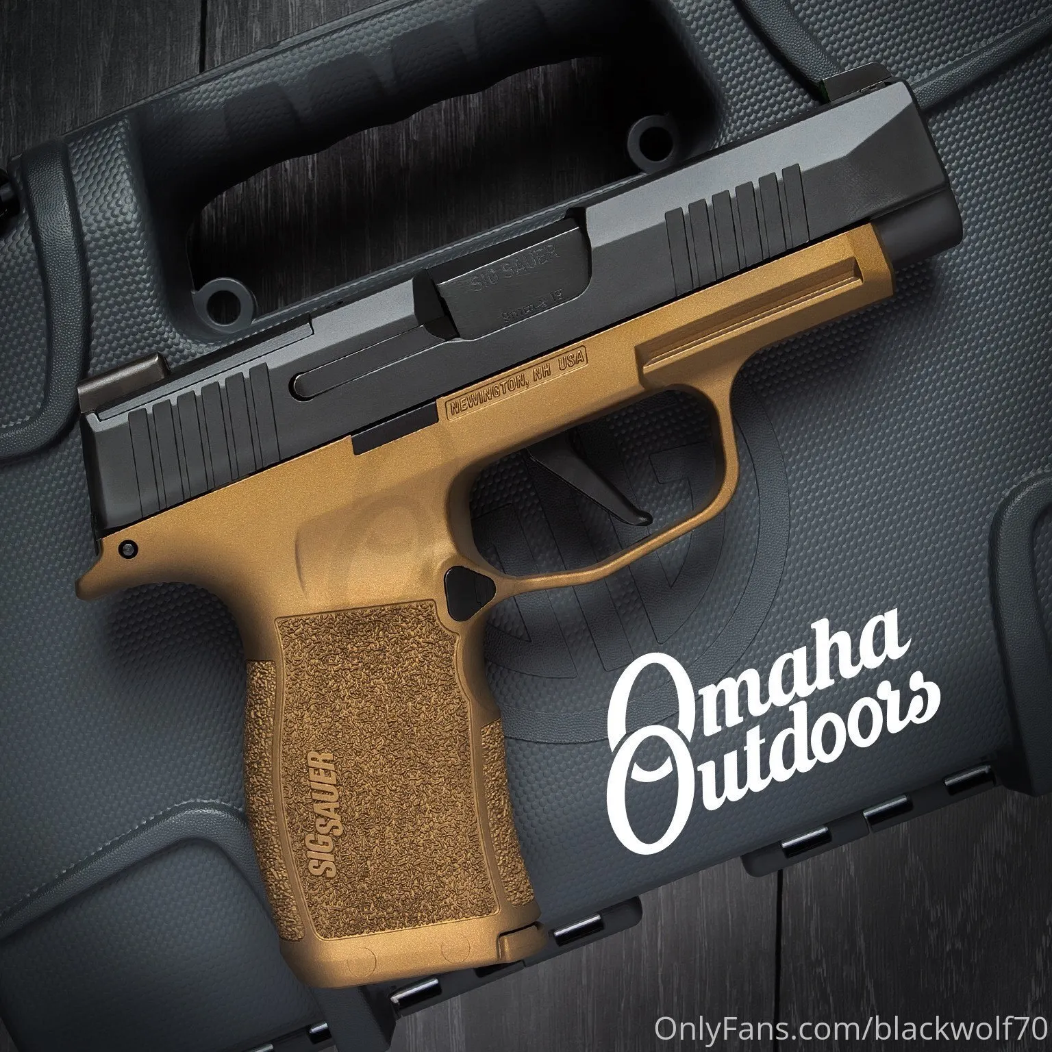 OnyxWolf70 OnlyFans premium content 15 - blackwolf70 exclusive collection