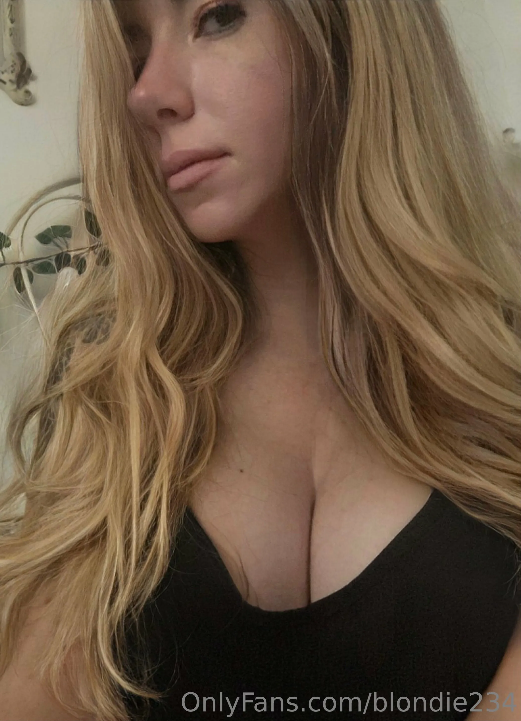 Daisymae OnlyFans premium content 2 - blondie234 exclusive collection