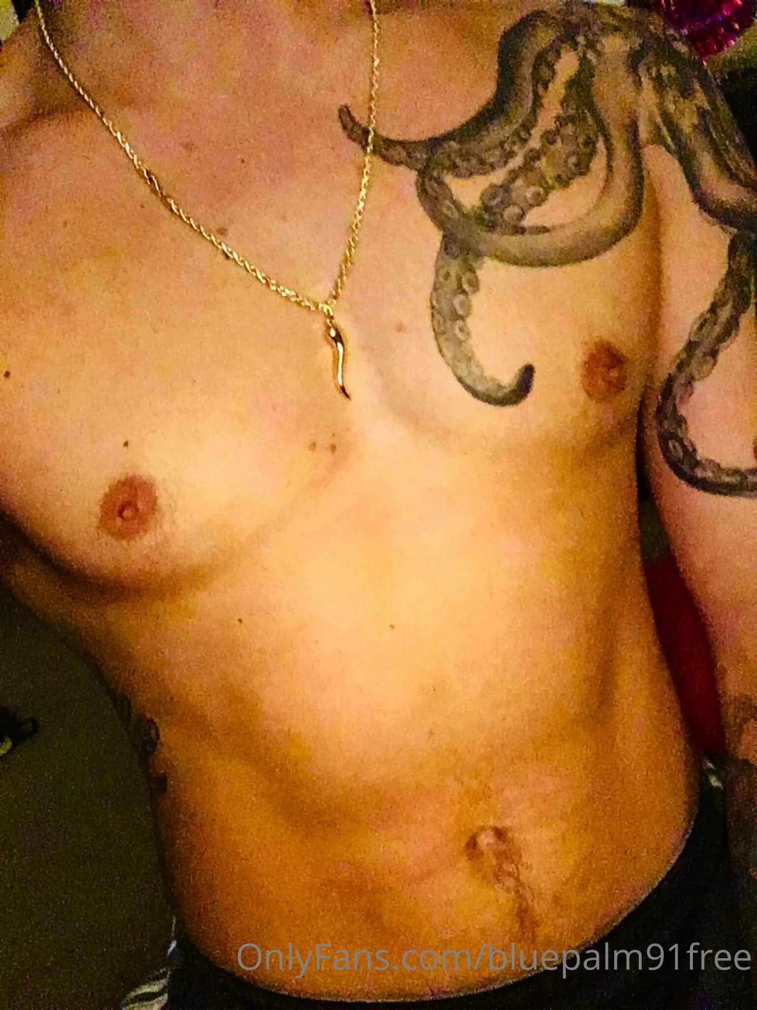 BluePalm91VIP (0.45%) OnlyFans premium content 41 - bluepalm91vip exclusive collection