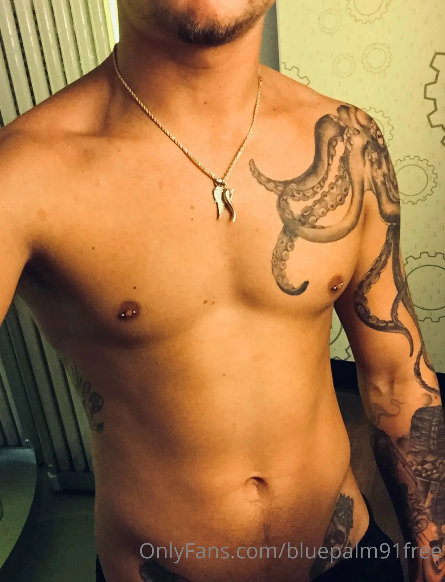 BluePalm91VIP (0.45%) OnlyFans premium content 40 - bluepalm91vip exclusive collection