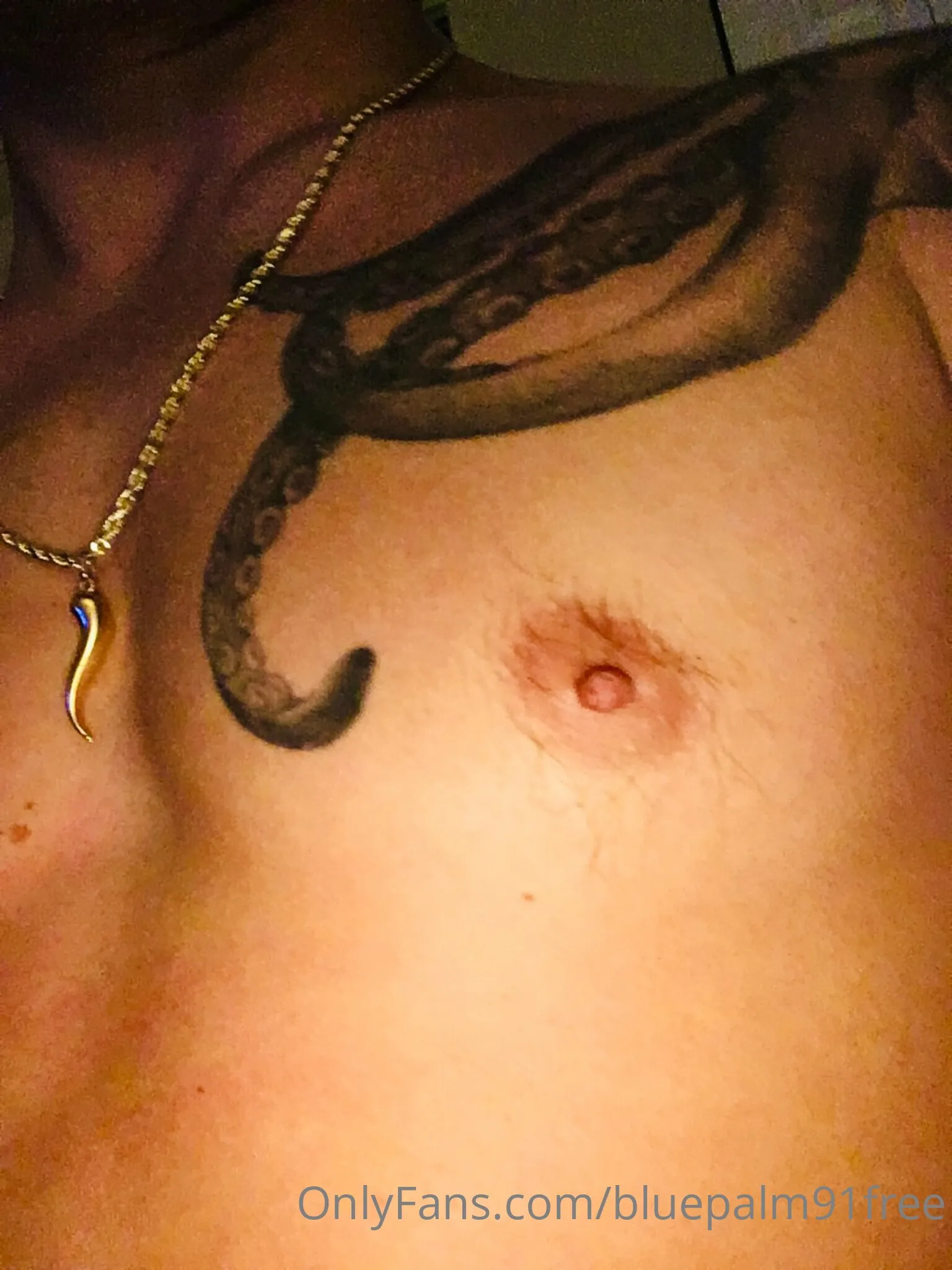 BluePalm91VIP (0.45%) OnlyFans premium content 39 - bluepalm91vip exclusive collection