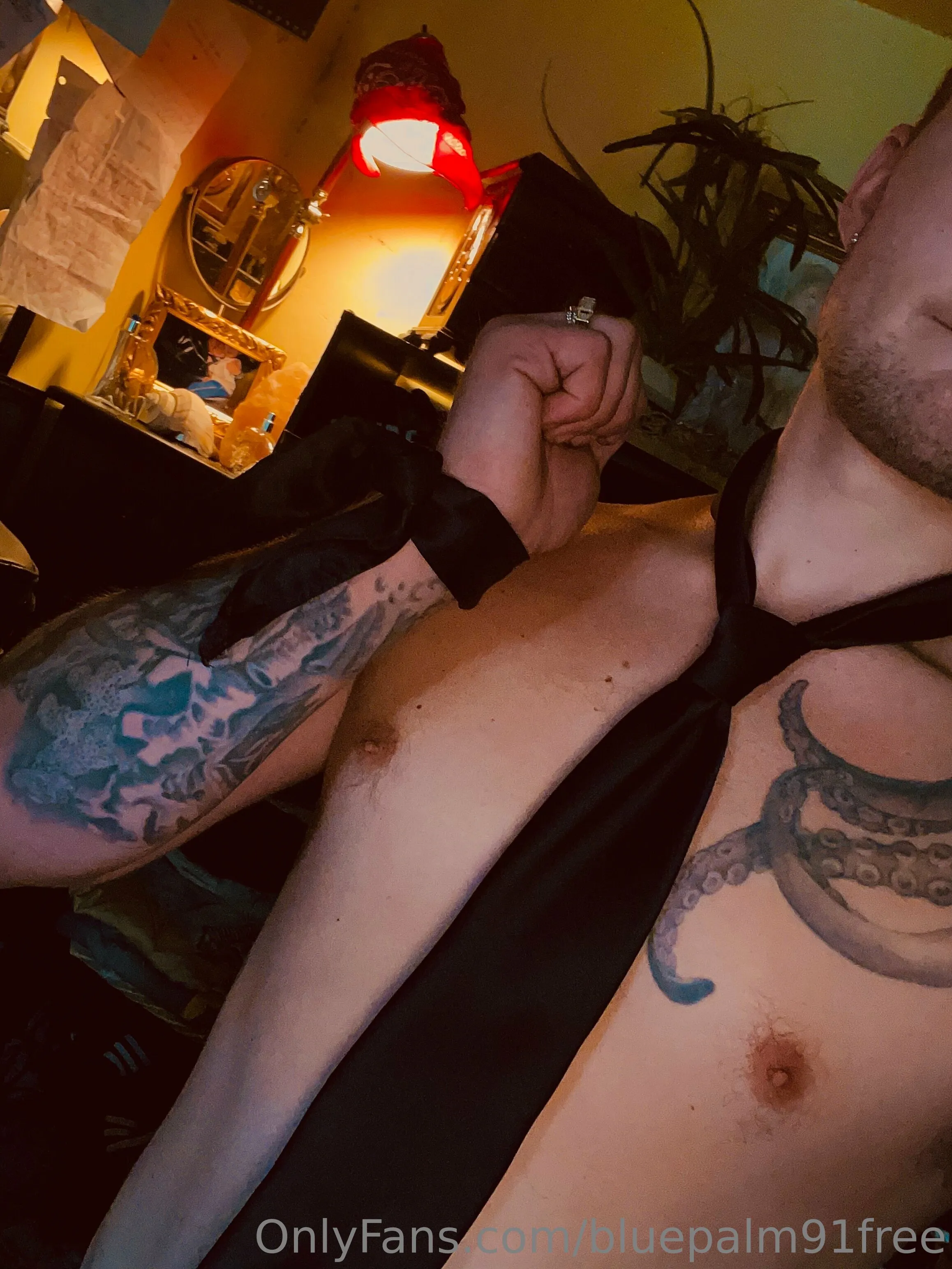 BluePalm91VIP (0.45%) OnlyFans premium content 31 - bluepalm91vip exclusive collection