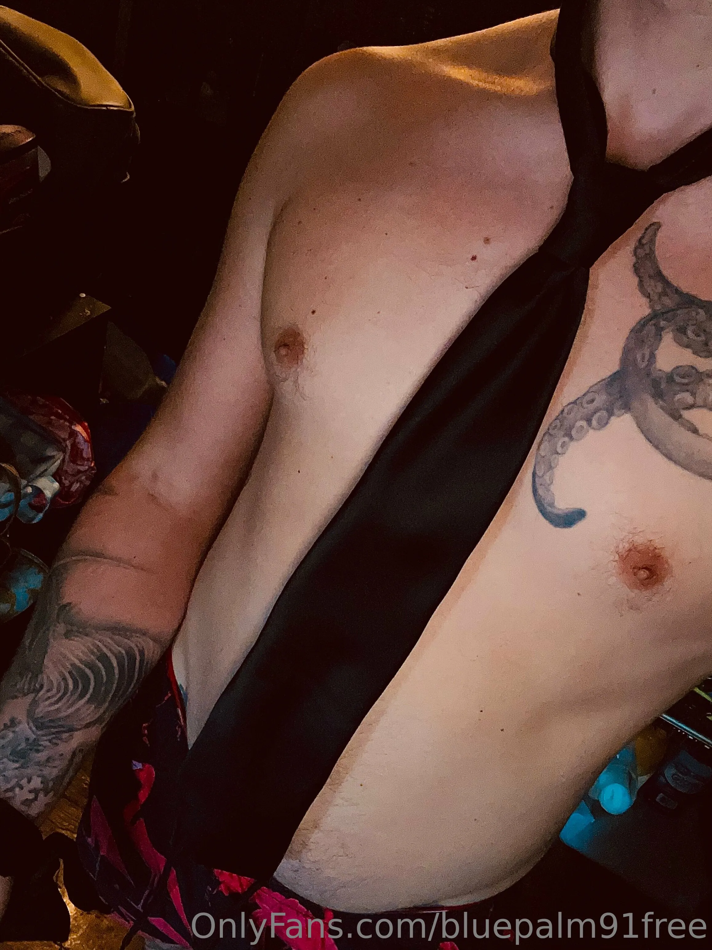 BluePalm91VIP (0.45%) OnlyFans premium content 29 - bluepalm91vip exclusive collection