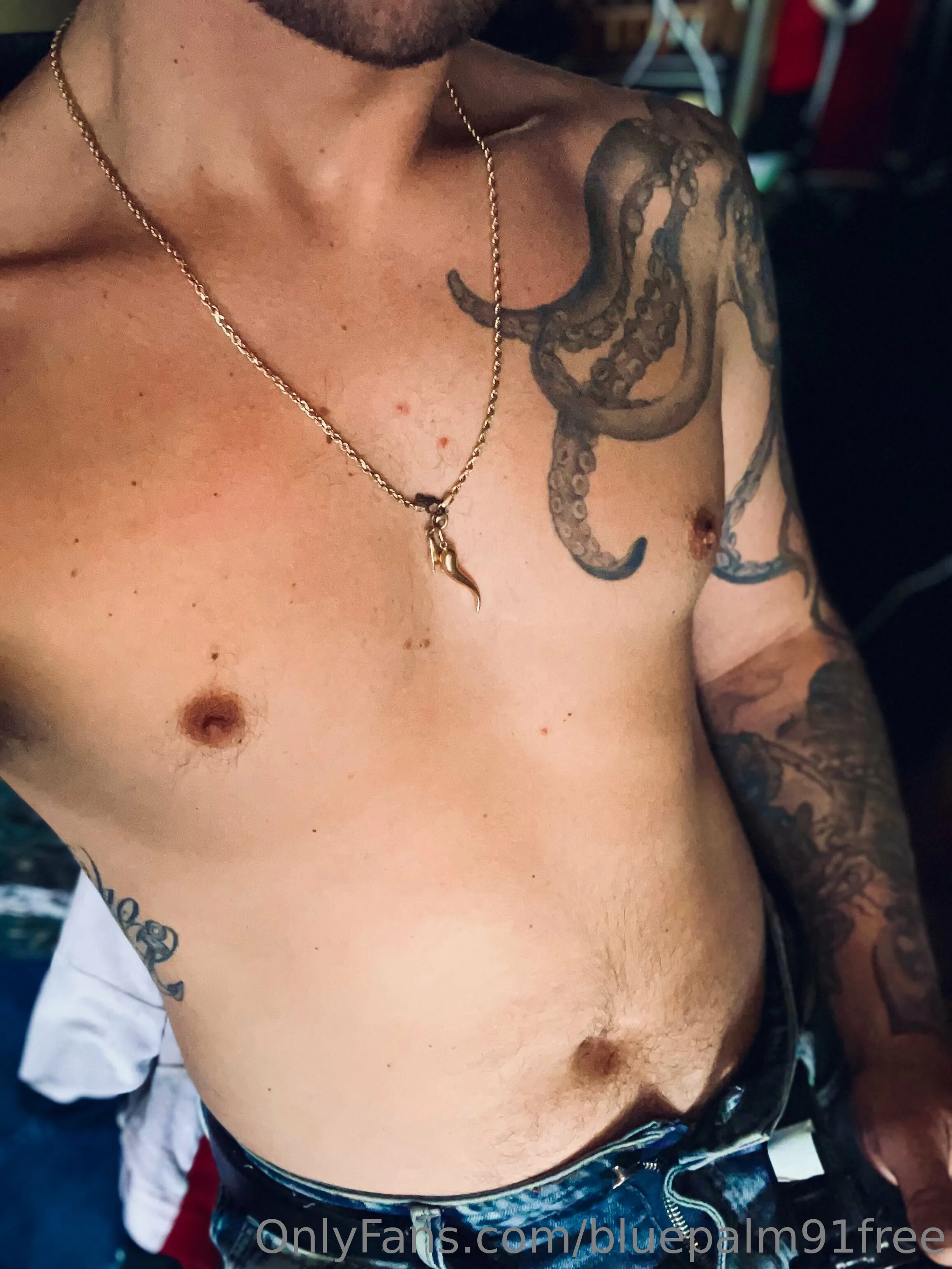 BluePalm91VIP (0.45%) OnlyFans premium content 25 - bluepalm91vip exclusive collection