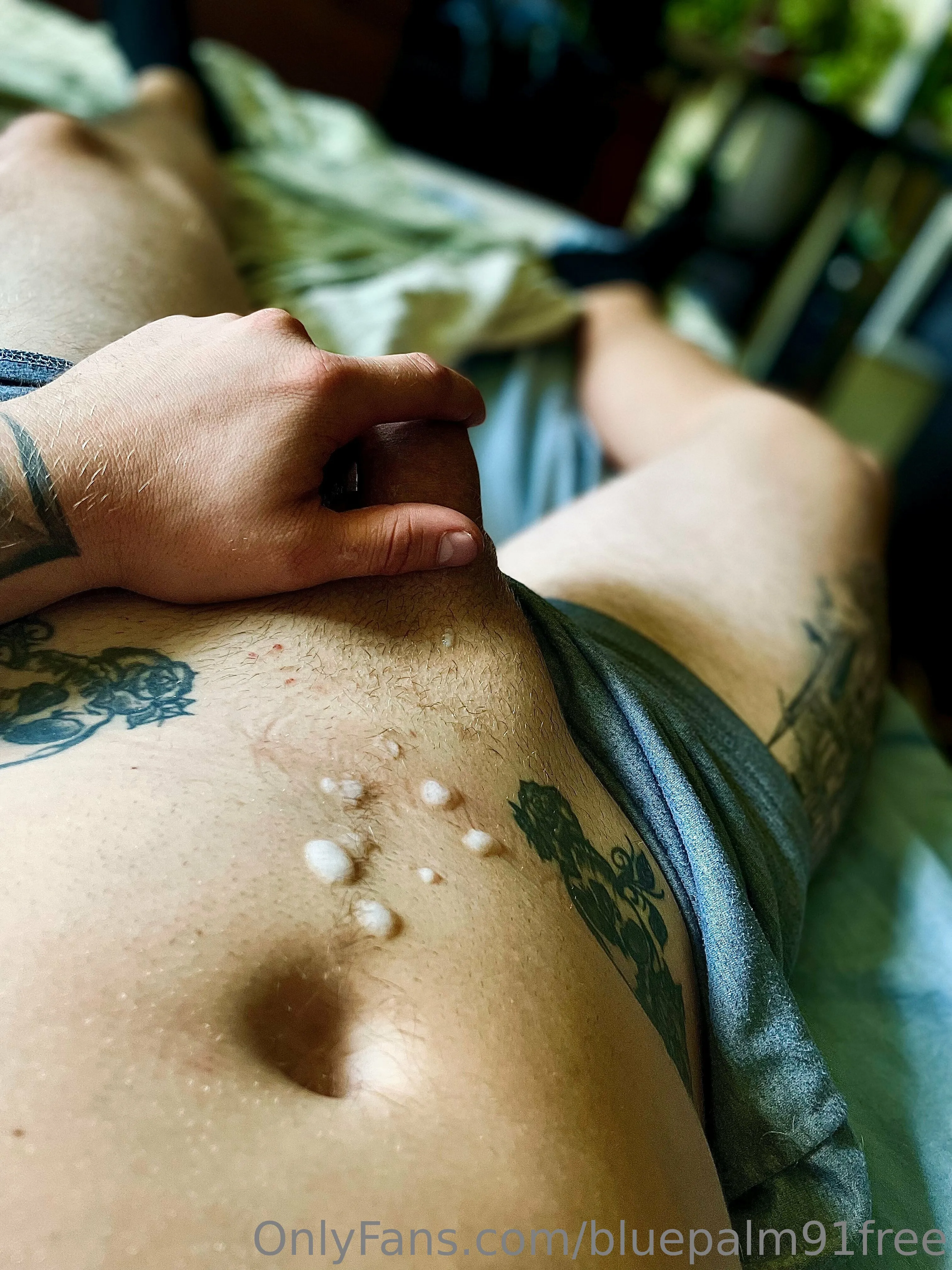 BluePalm91VIP (0.45%) OnlyFans premium content 21 - bluepalm91vip exclusive collection