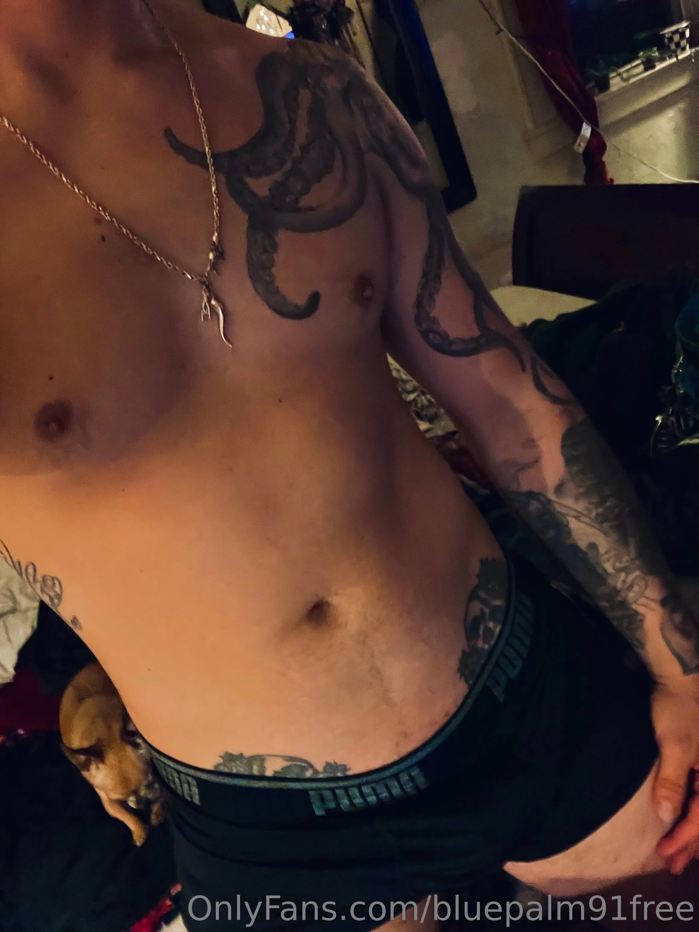 BluePalm91VIP (0.45%) OnlyFans premium content 11 - bluepalm91vip exclusive collection