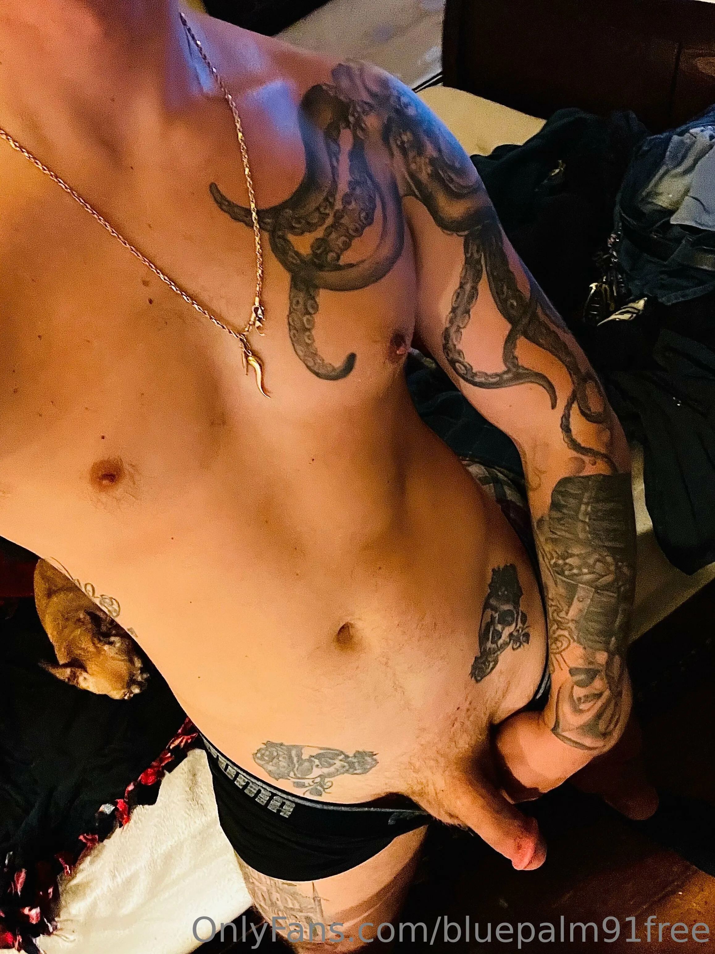 BluePalm91VIP (0.45%) OnlyFans premium content 10 - bluepalm91vip exclusive collection