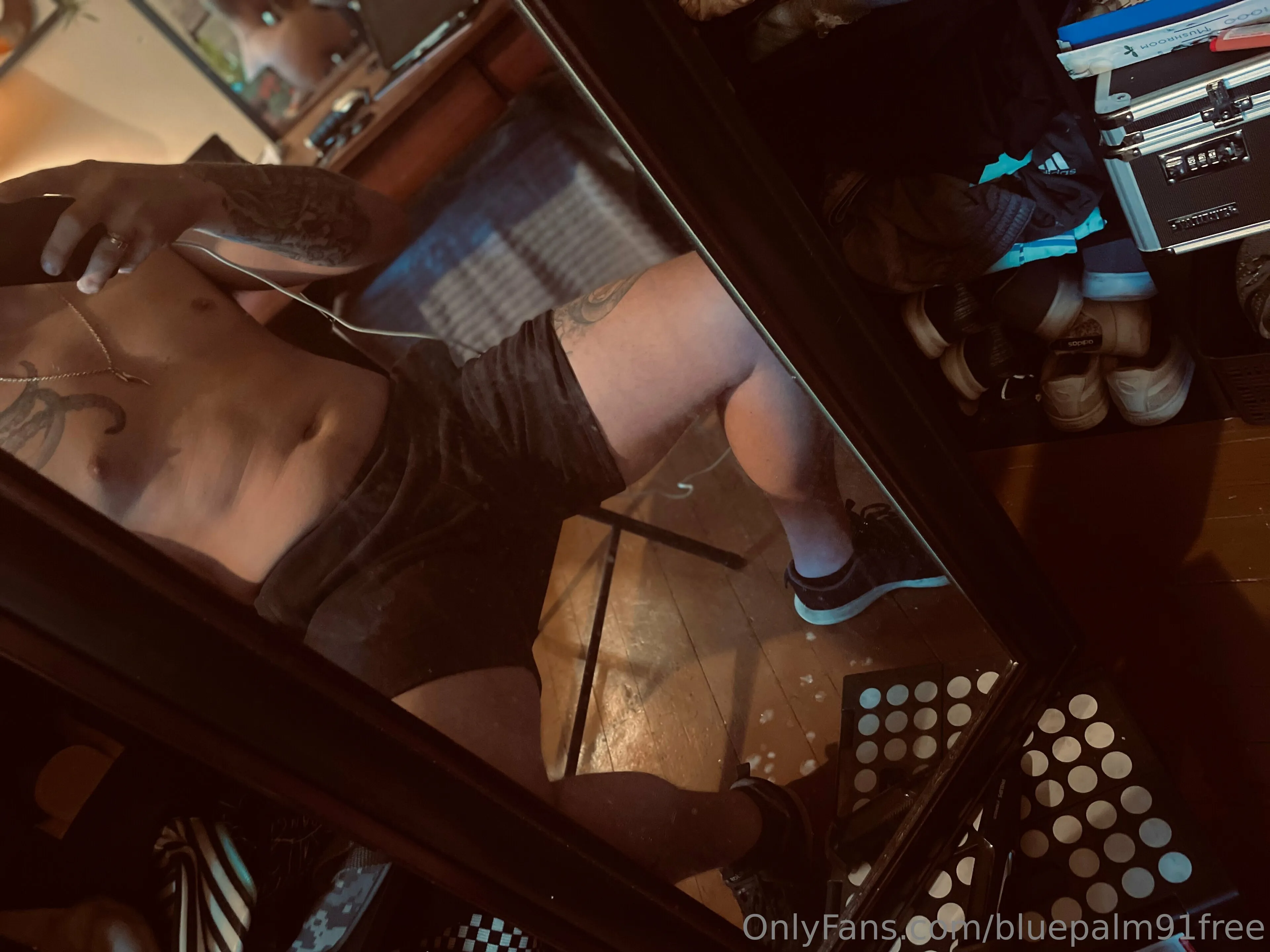 BluePalm91VIP (0.45%) OnlyFans premium content 1 - bluepalm91vip exclusive collection