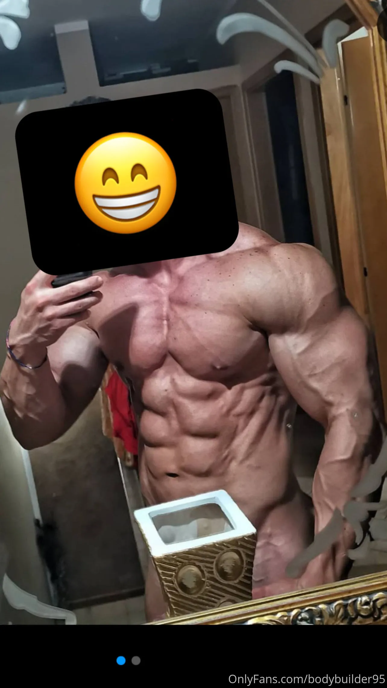 Badboy OnlyFans premium content 2 - bodybuilder95 exclusive collection