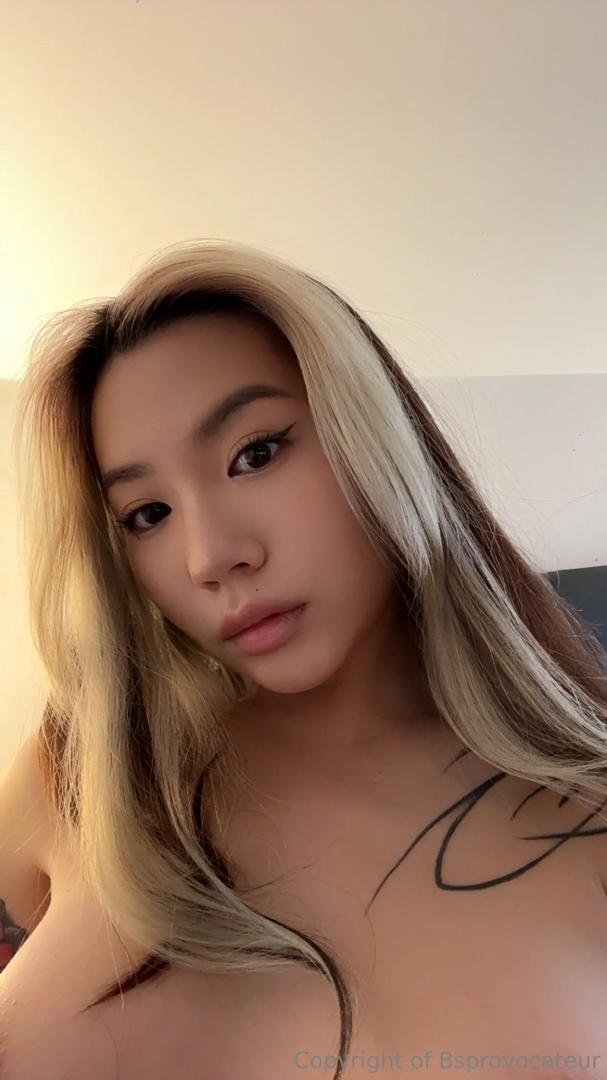 Bsprovocateur OnlyFans premium content 6 - bsprovocateur exclusive collection