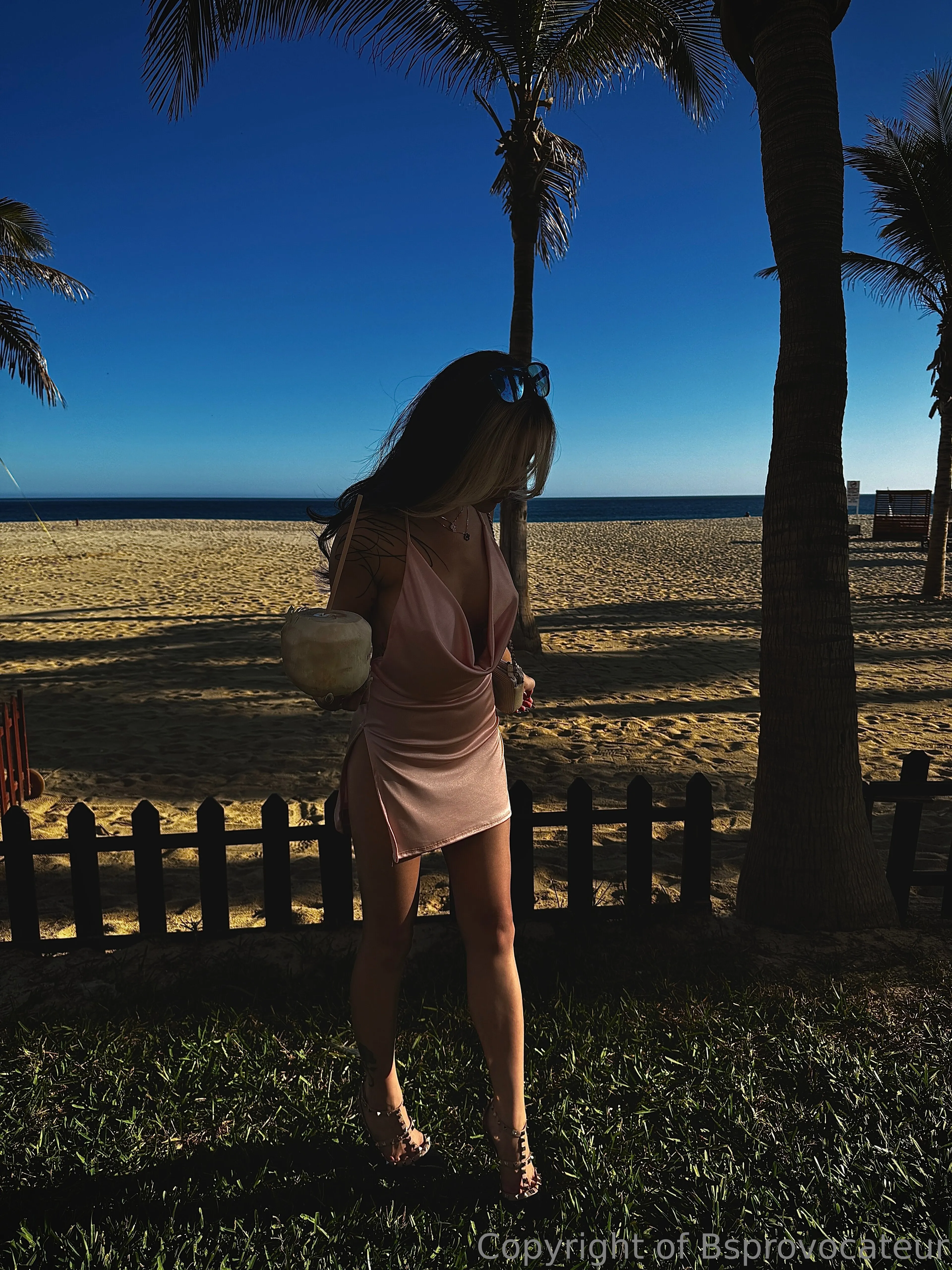 Bsprovocateur OnlyFans premium content 11 - bsprovocateur exclusive collection