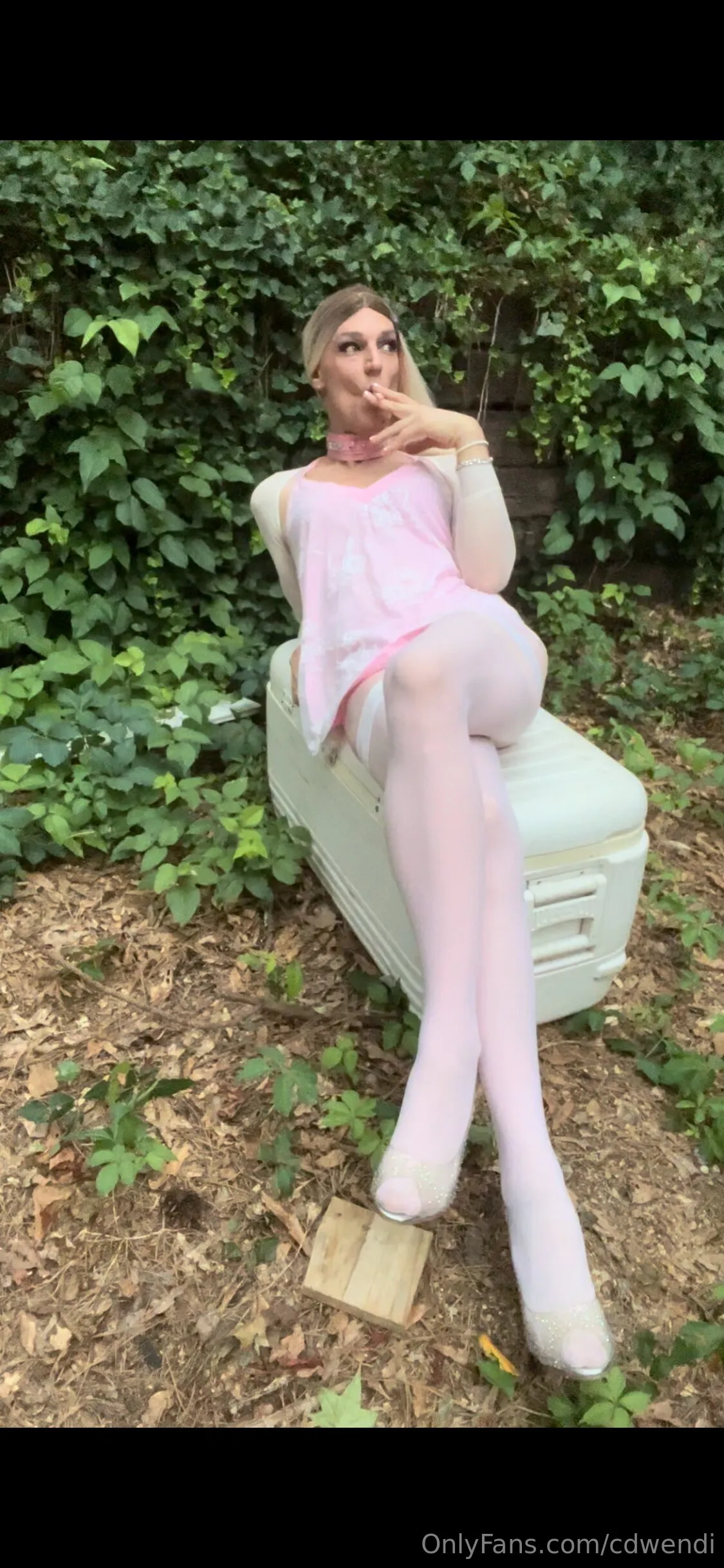 Just a soft warm pussy OnlyFans premium content 4 - cdwendi exclusive collection