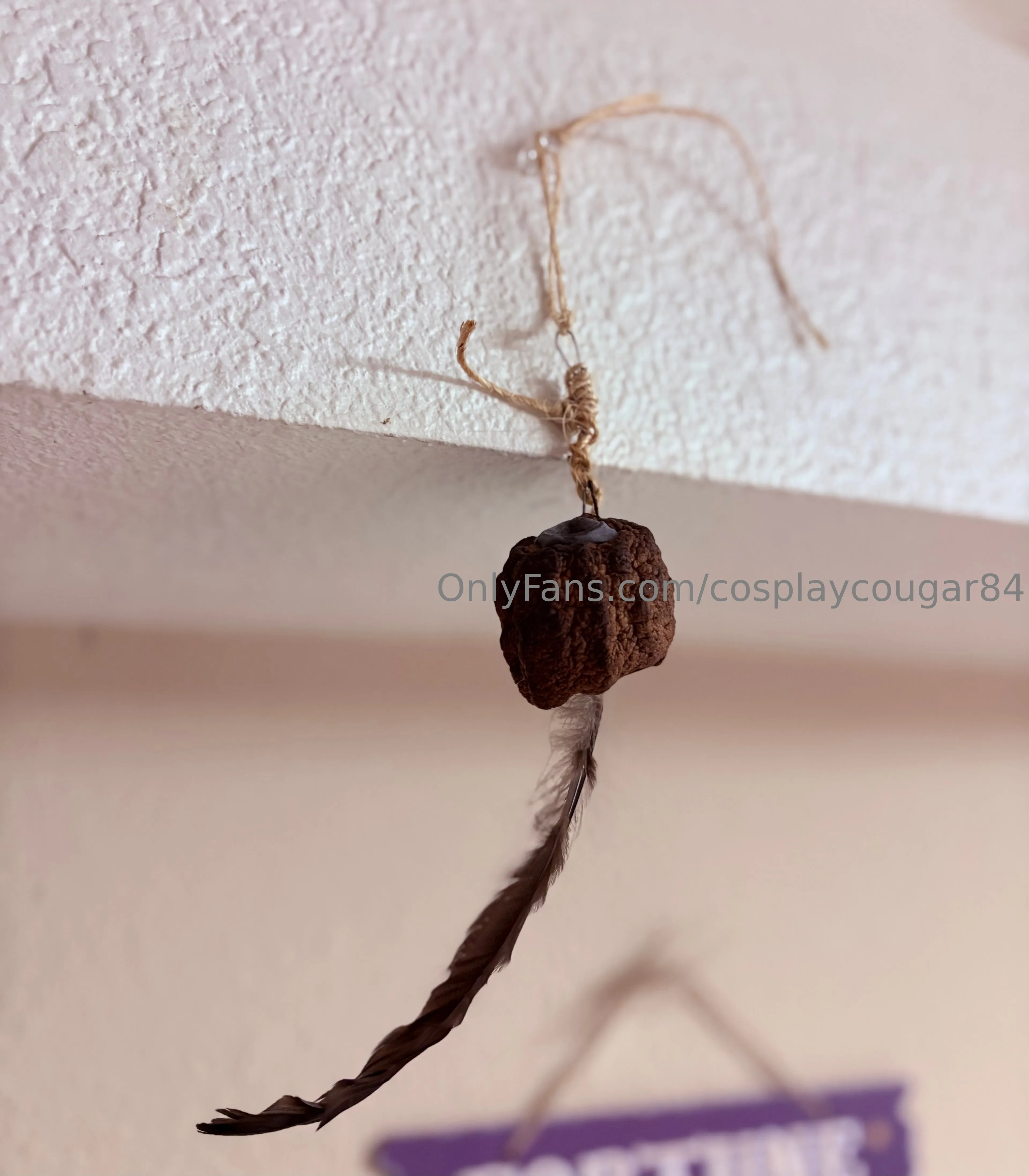 Ruby OnlyFans premium content 11 - cosplaycougar84 exclusive collection