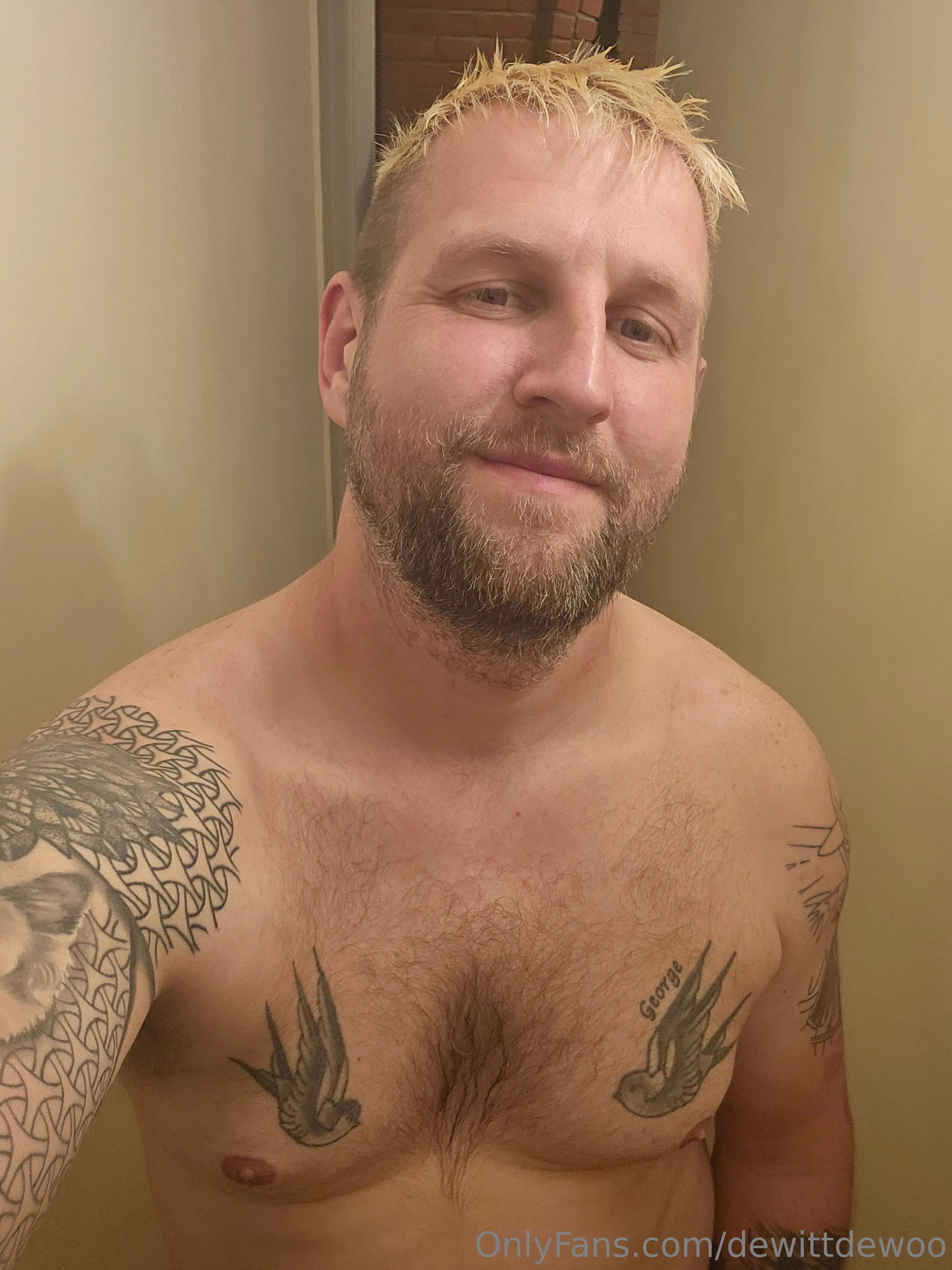 Dewittdewoo OnlyFans premium content 8 - dewittdewoo exclusive collection