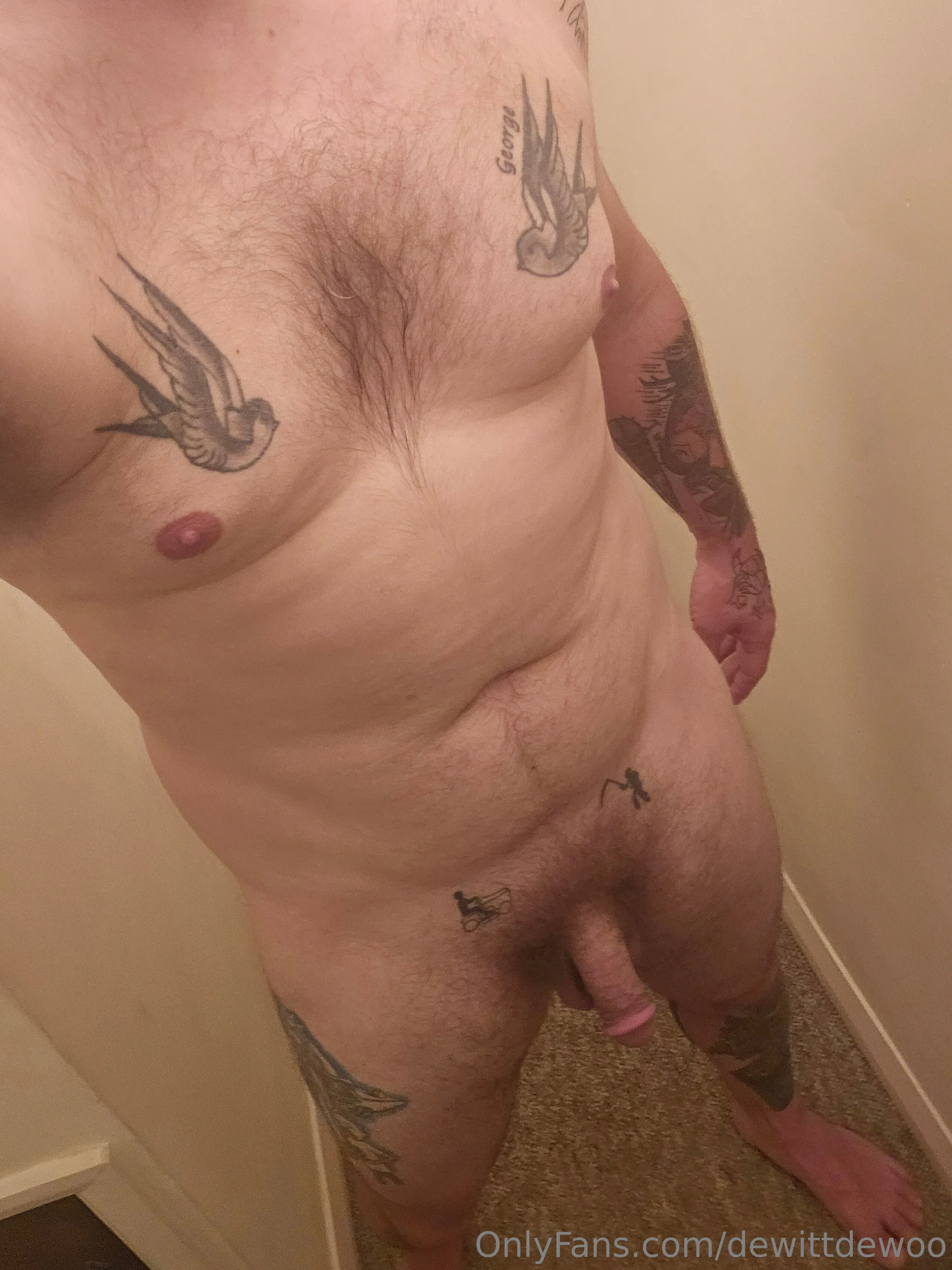 Dewittdewoo OnlyFans premium content 6 - dewittdewoo exclusive collection