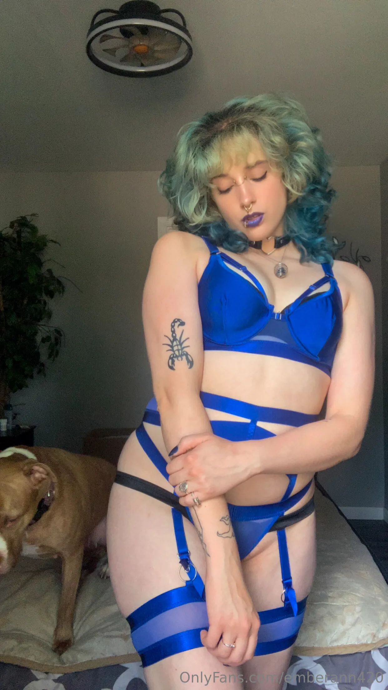 𝐸𝑚𝑏𝑒𝑟 𝐴𝑛𝑛 FREE OnlyFans premium content 34 - emberann420 exclusive collection