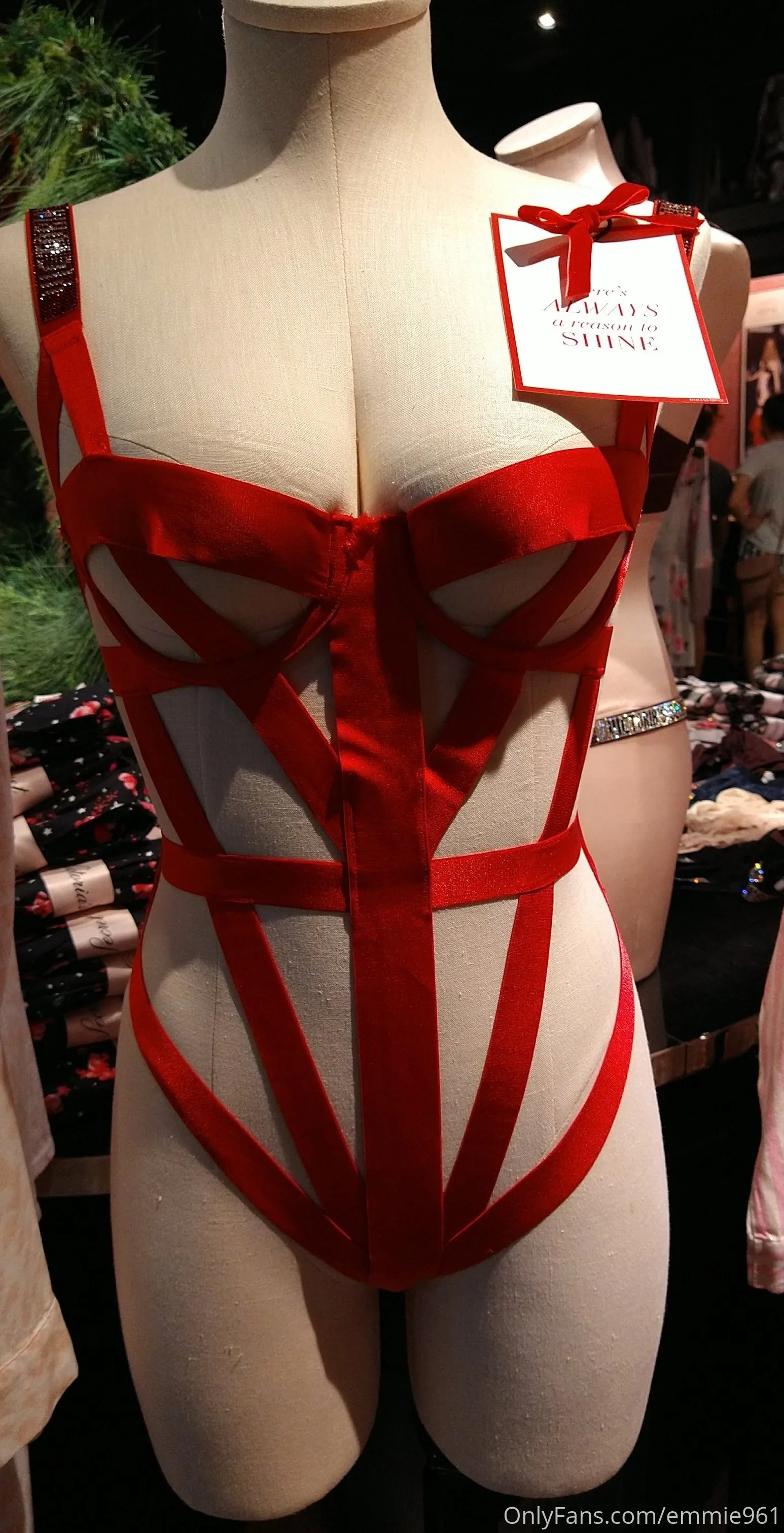 Vega✨ OnlyFans premium content 11 - emmie961 exclusive collection