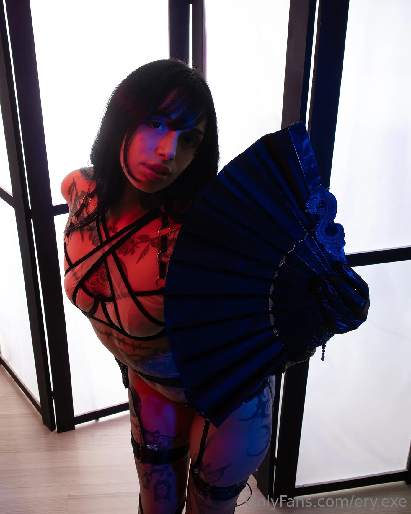ERY OnlyFans premium content 3 - ery.exe exclusive collection