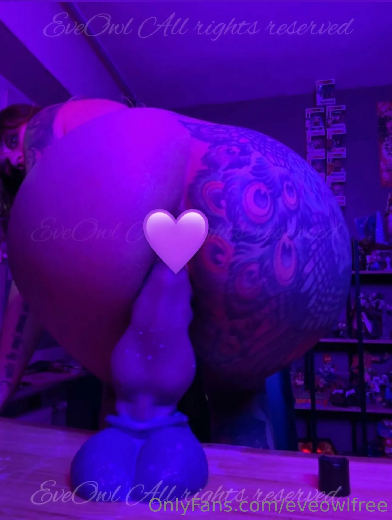 EveOwl OnlyFans premium content 7 - eveowlfree exclusive collection