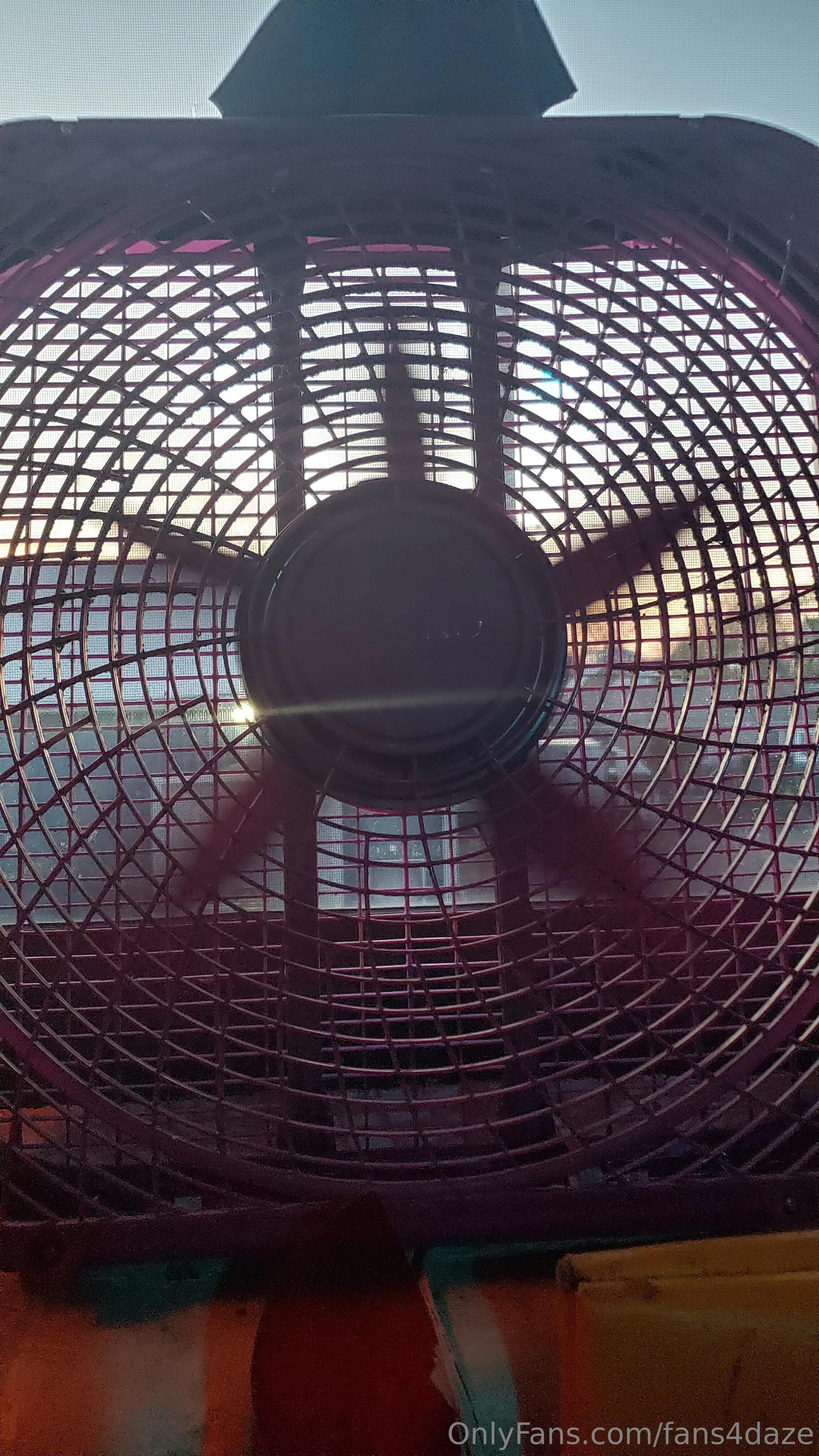 fansONLY OnlyFans premium content 16 - fans4daze exclusive collection